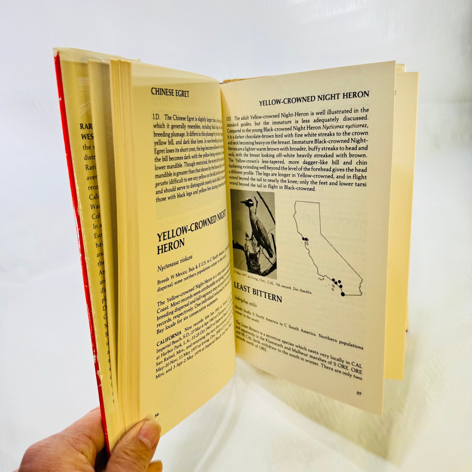 Heron identification pages with photograph and map