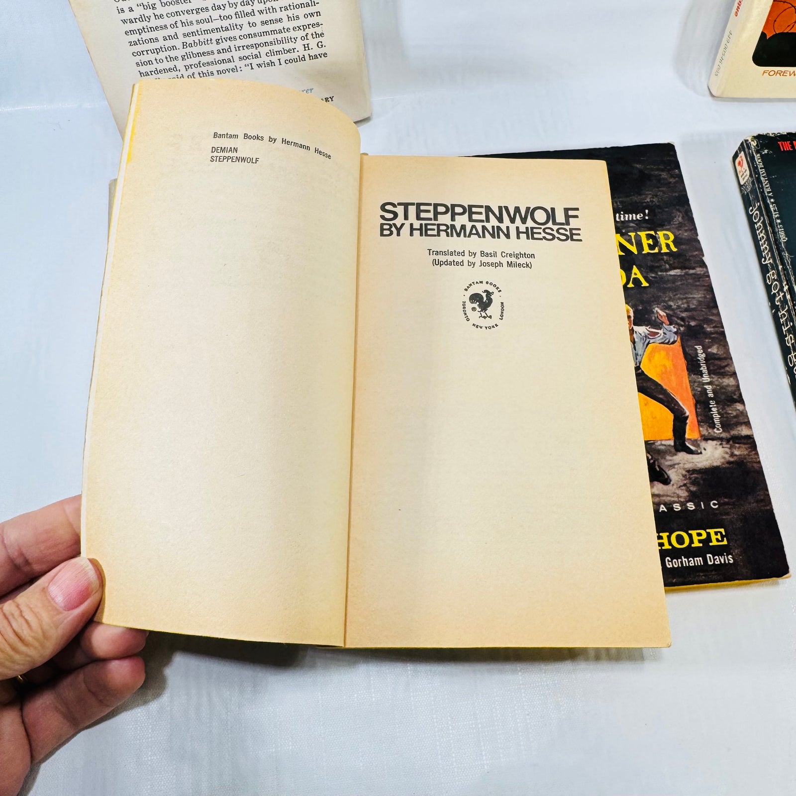Steppenwolf title page