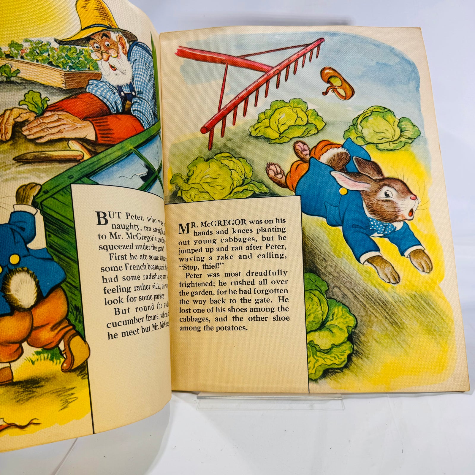 Mr. McGregor chasing Peter with a rake, The Tale of Peter Rabbit 1943