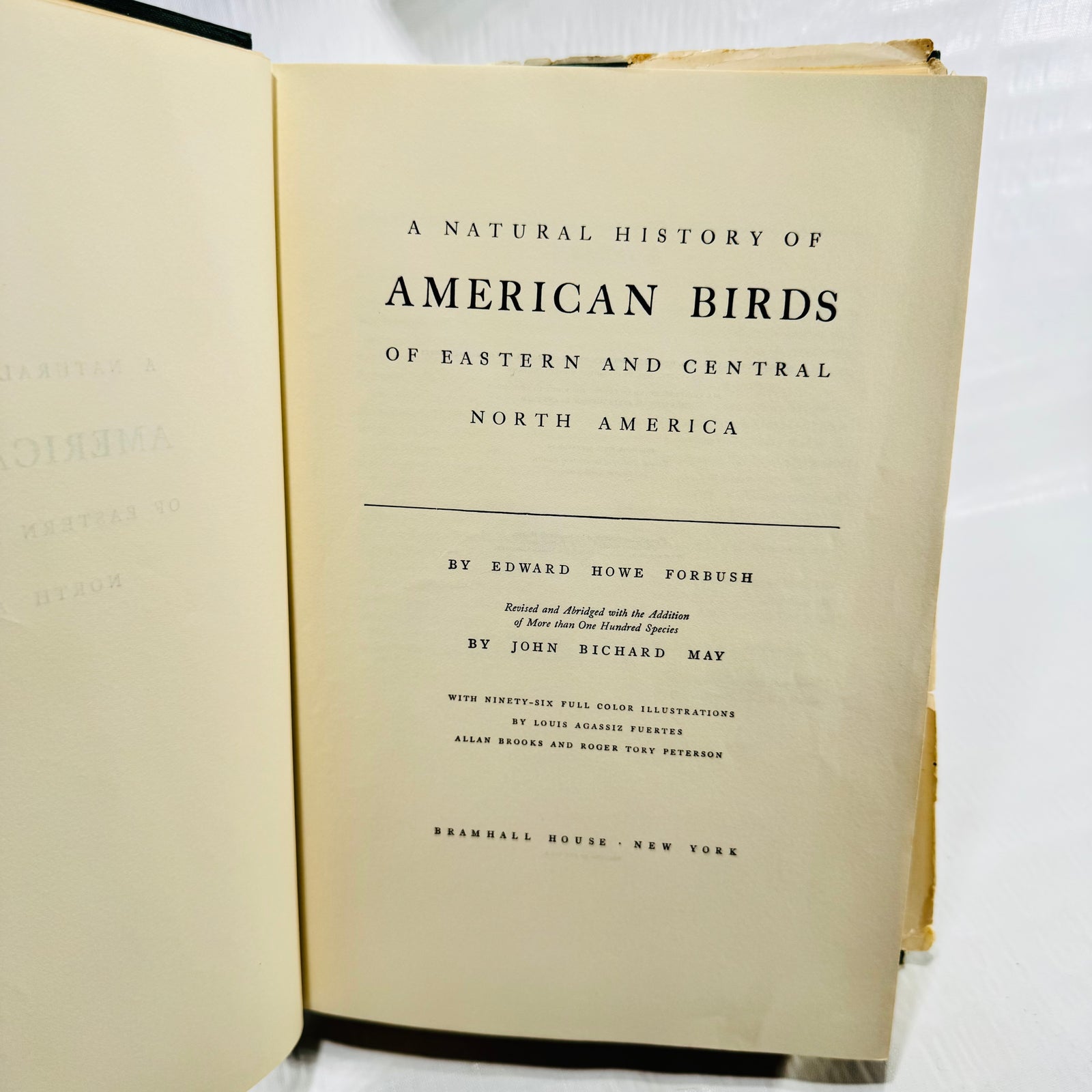 American Birds title page and illustrator credits