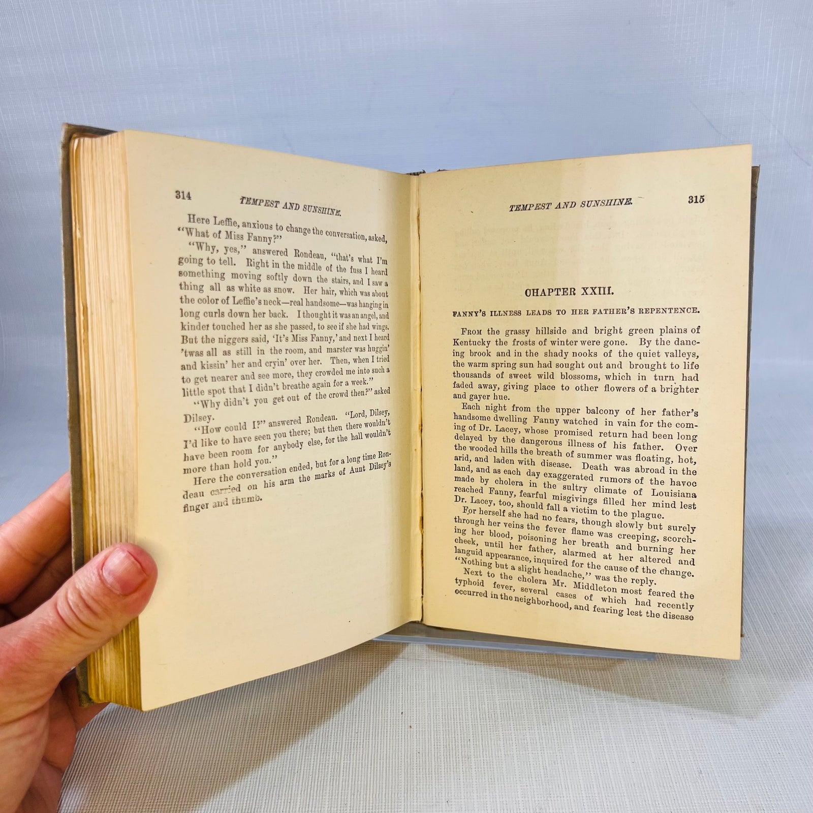 Tempest and Sunshine or Life in Kentucky by Mrs. Mary J. Holmes The Federal Book Company