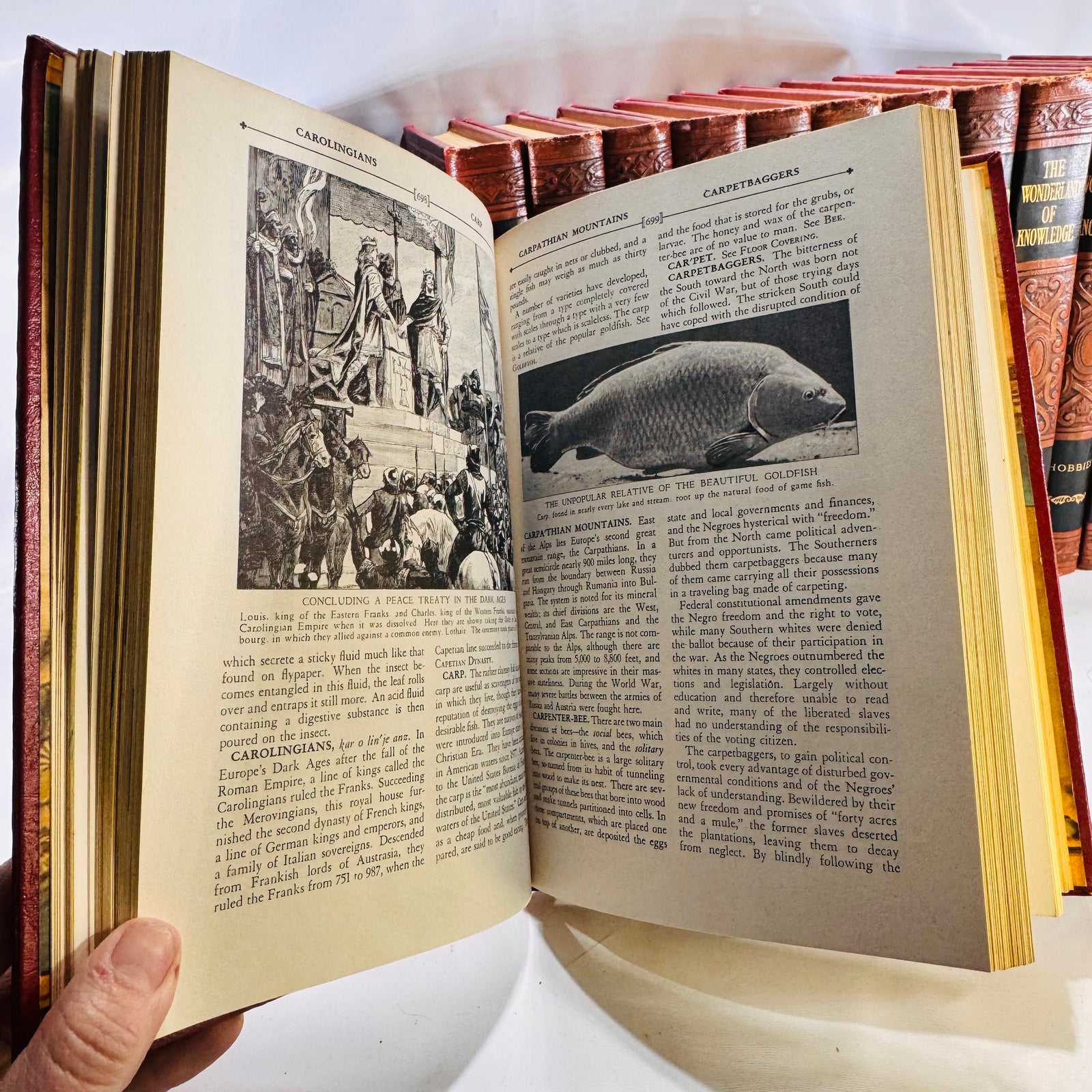 The Wonderland of Knowledge Pictorial Encyclopedia Set 1956 14 Volumes Wonderland of Knowledge Corp.