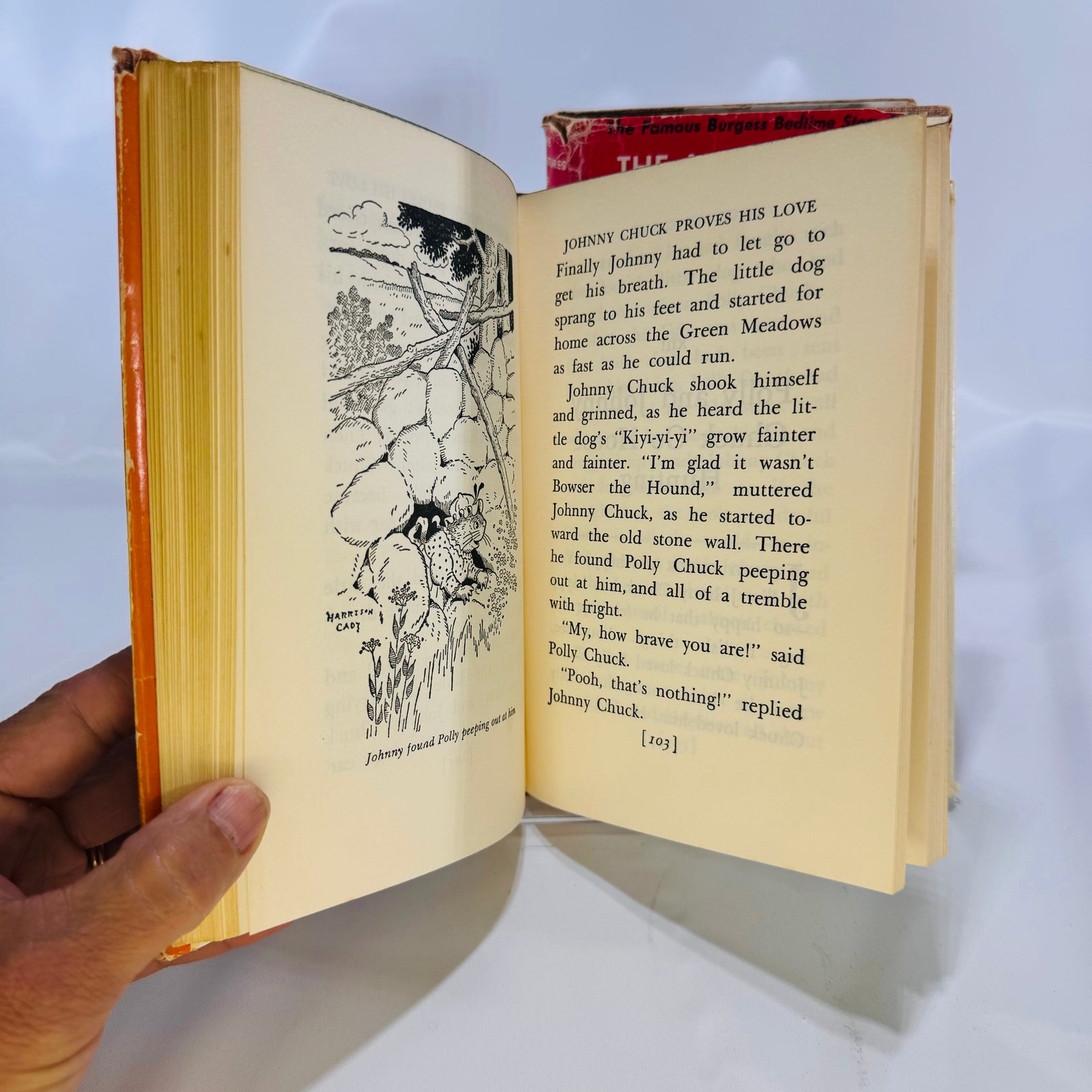 Full page Harrison Cady drawing in The Adventures of Johnny Chuck
