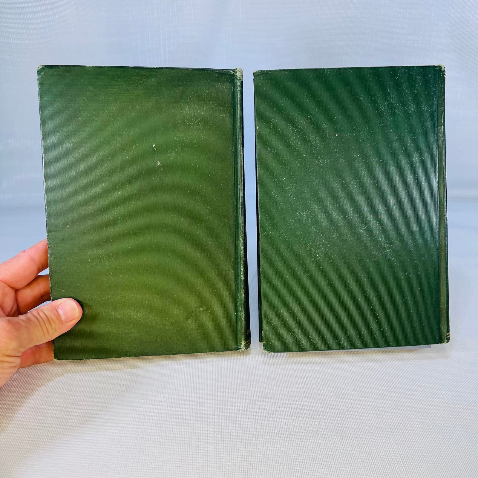 Song of Summer 1910 & Songs of Home 1908 by James Whitcomb Riley with pictures by Will Vawter The Bobbs-Merrill Company