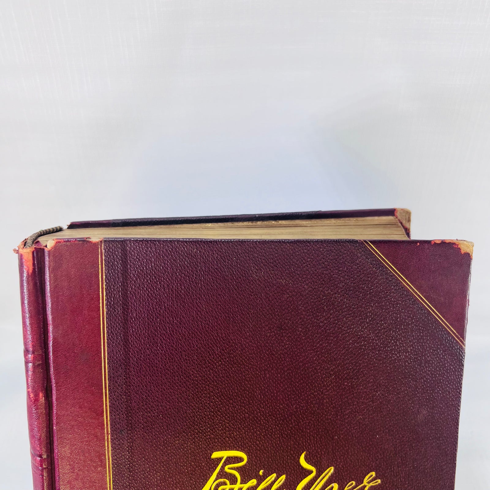 Remarks by Bill Nye (Edgar W. Nye) over 150 Illustrations by J.H. Smith F.T. Neely