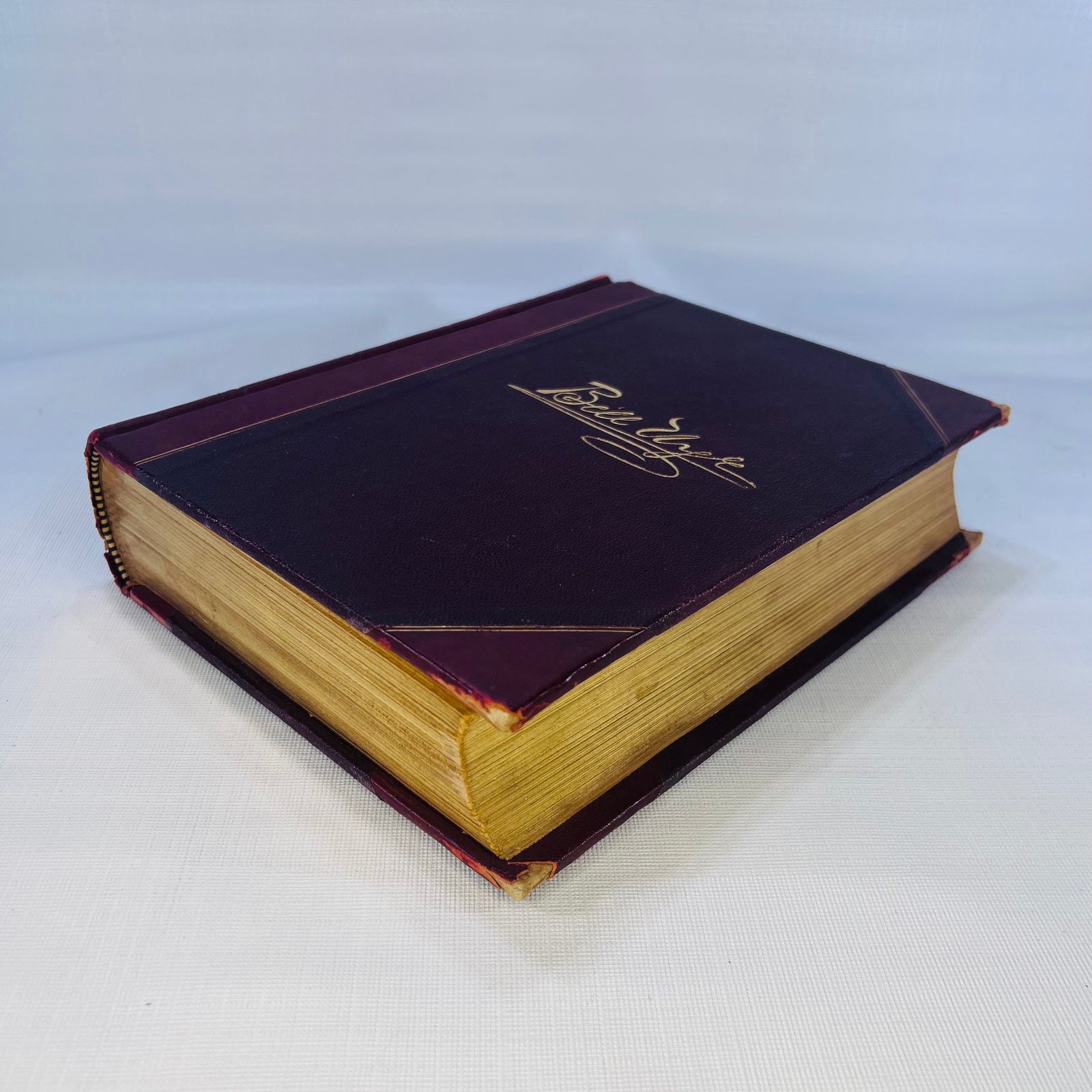 Remarks by Bill Nye (Edgar W. Nye) over 150 Illustrations by J.H. Smith F.T. Neely