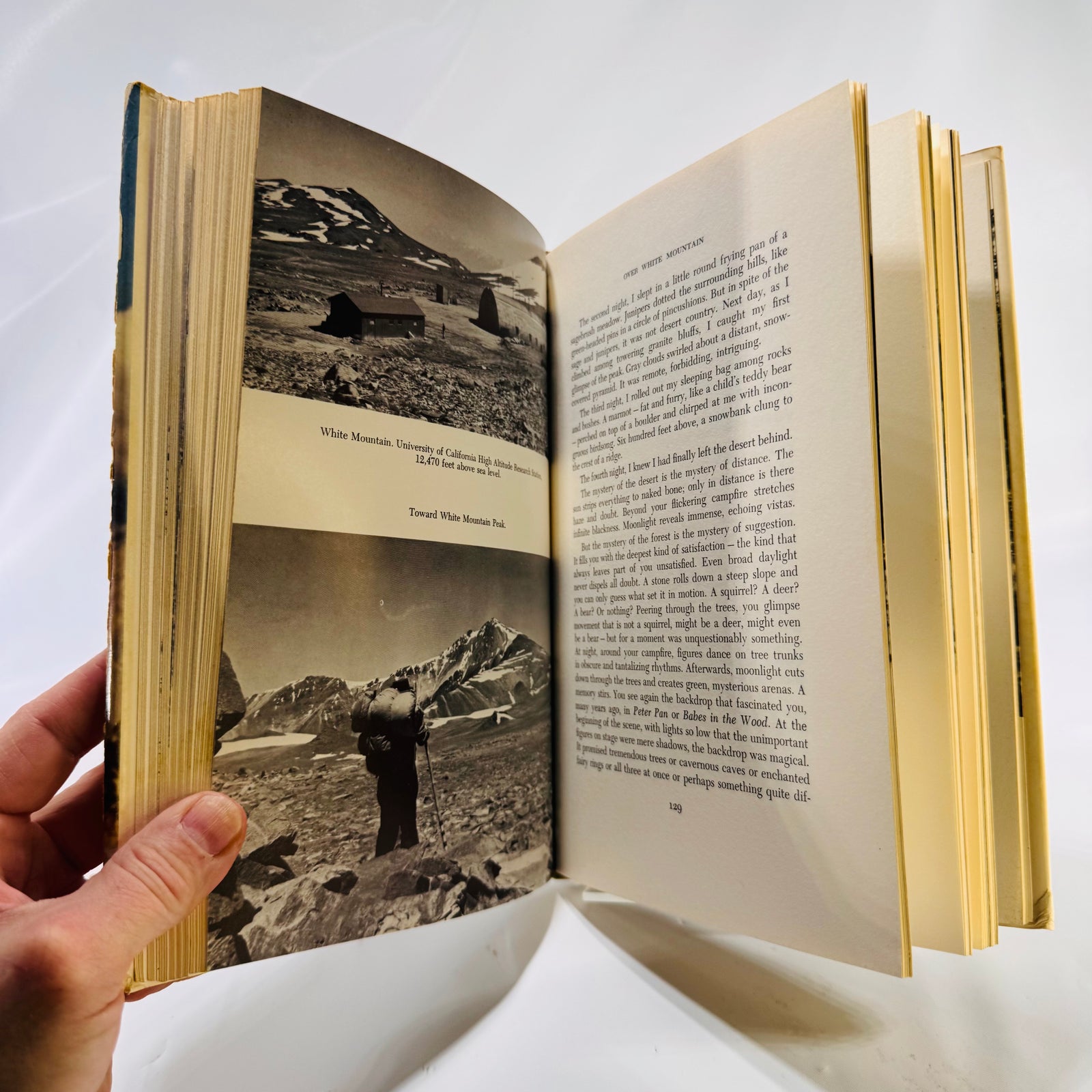 The Thousand-Mile Summer: In Desert and High Sierra by Colin Fletcher (1969) – A Trailblazing Tale of Solitude, Stride, and Sierra Sky