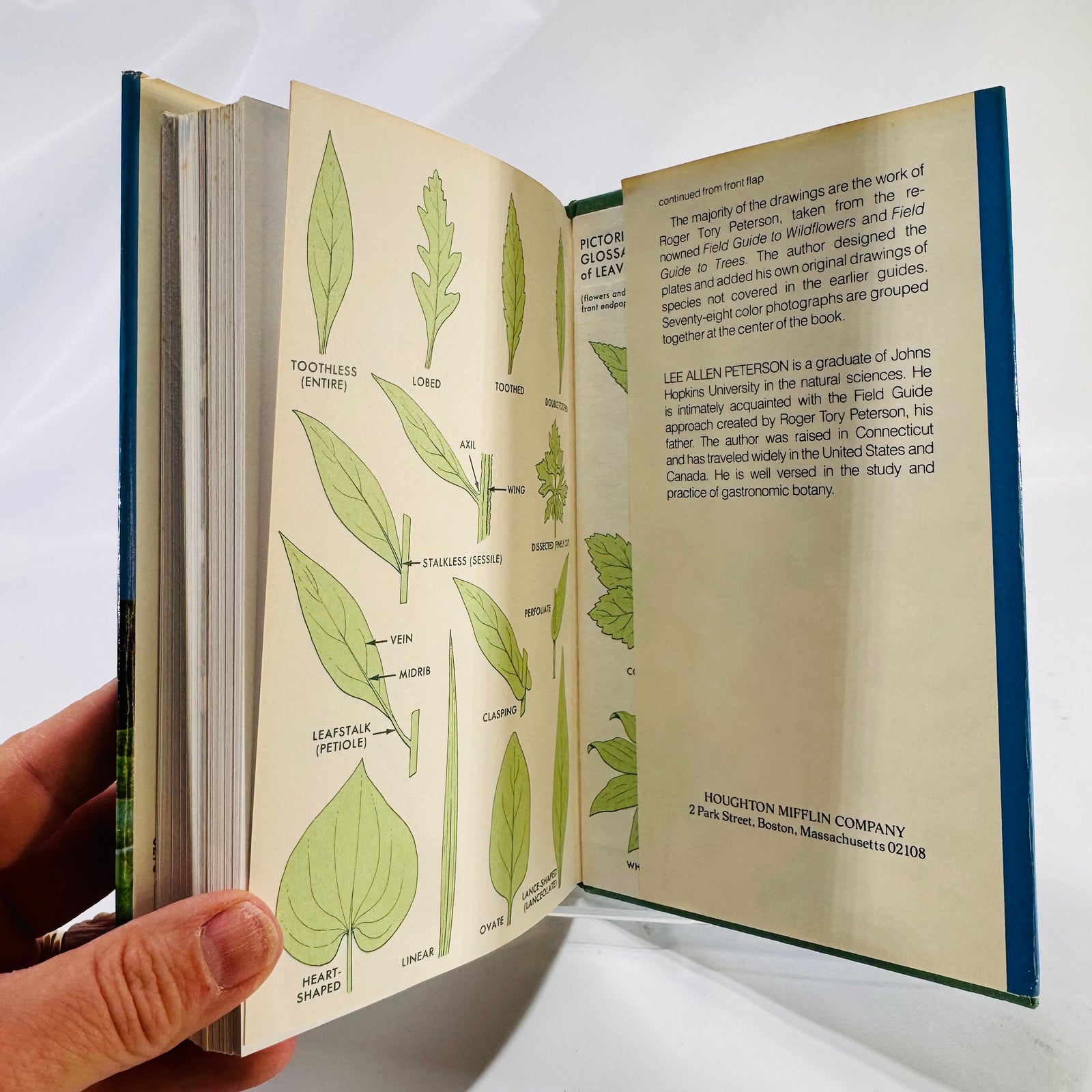 A Field Guide to Edible Wild Plants of Eastern and Central North America by Lee Allen Peterson (Peterson Field Guides)