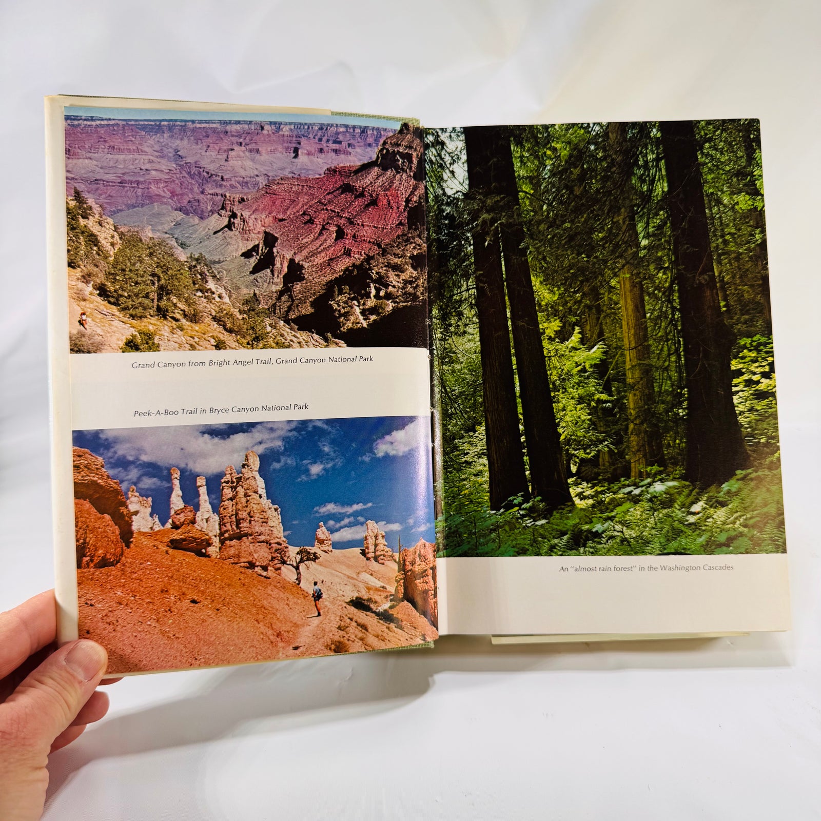 Backpacking One Step at a Time by Harvey Manning (1972) – A Vintage Outdoor Classic