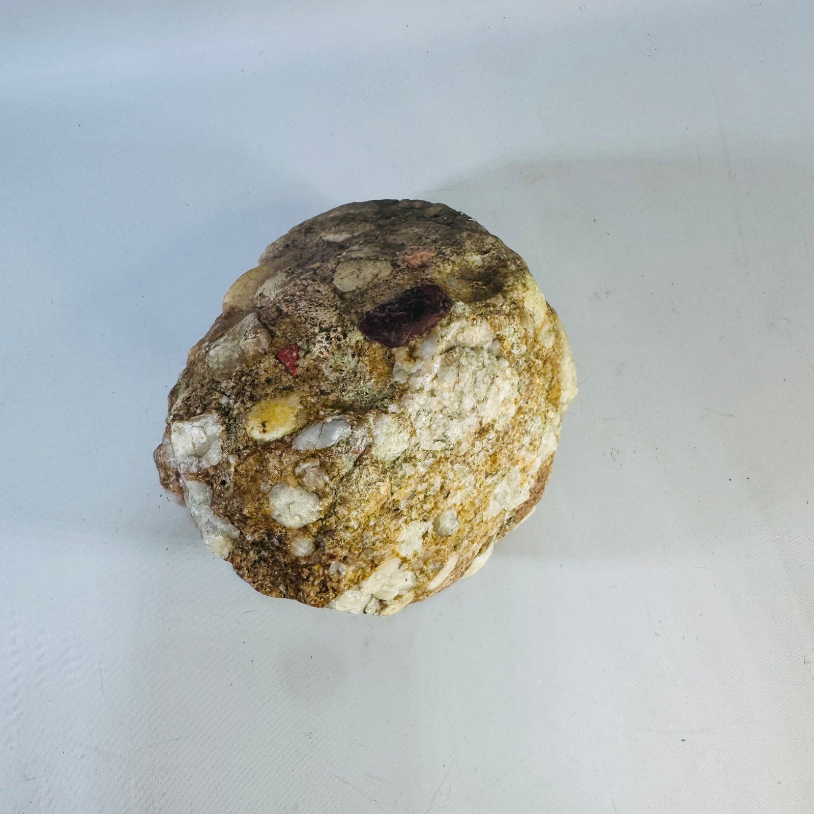 Michigan Puddingstone — Jasper & Quartz Conglomerate Specimen