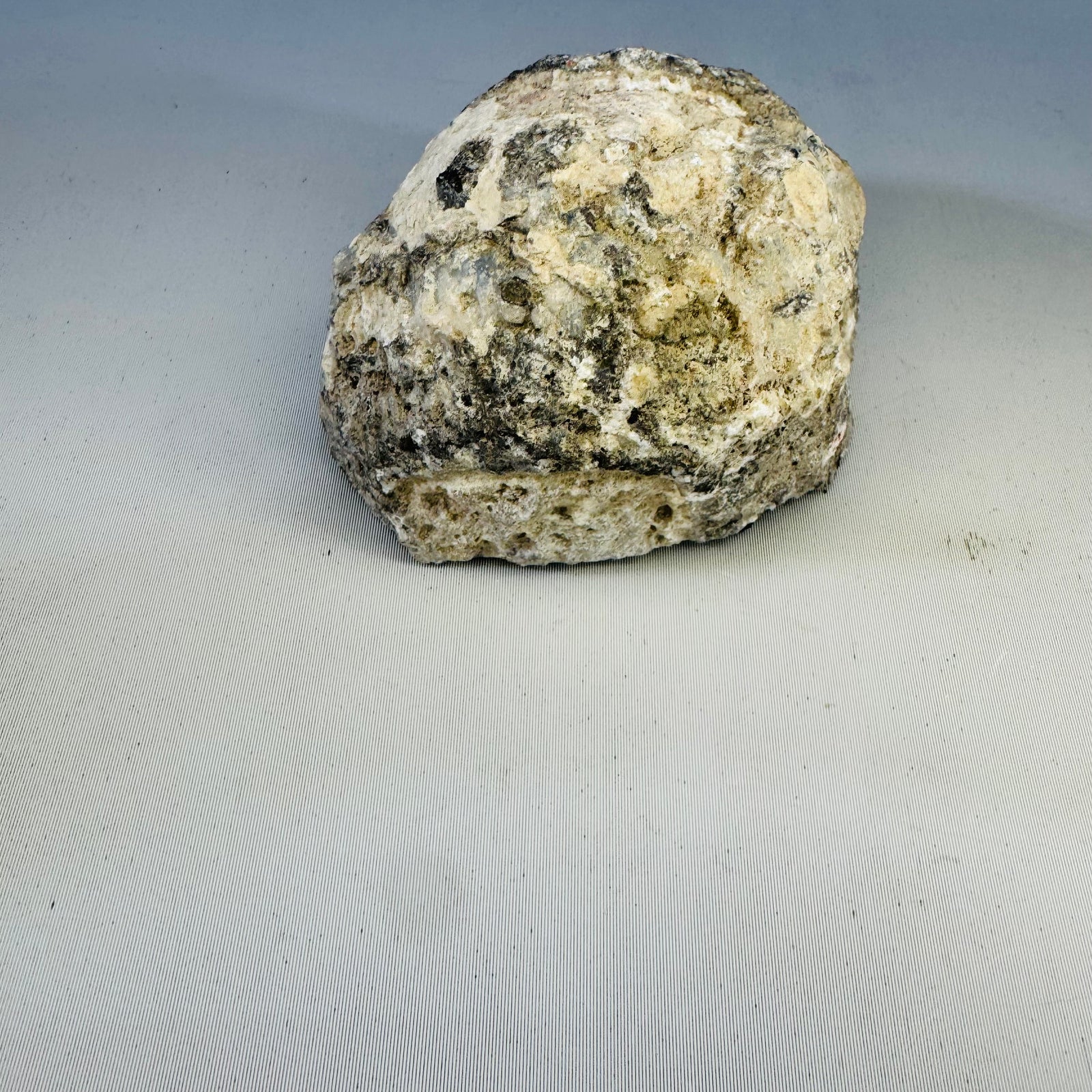 Polished Agate Nodule with Blue Gray Banding, Natural Rough Exterior, Cut Face Display Specimen