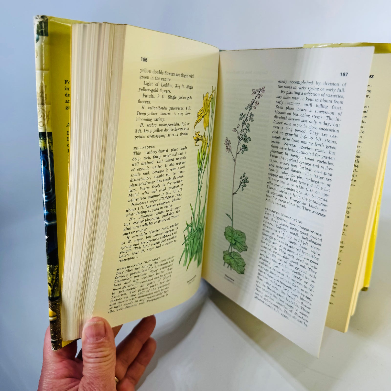 Reader's Digest Complete Book of The Garden, 1966, 886 Pages, Illustrated Gardening Reference