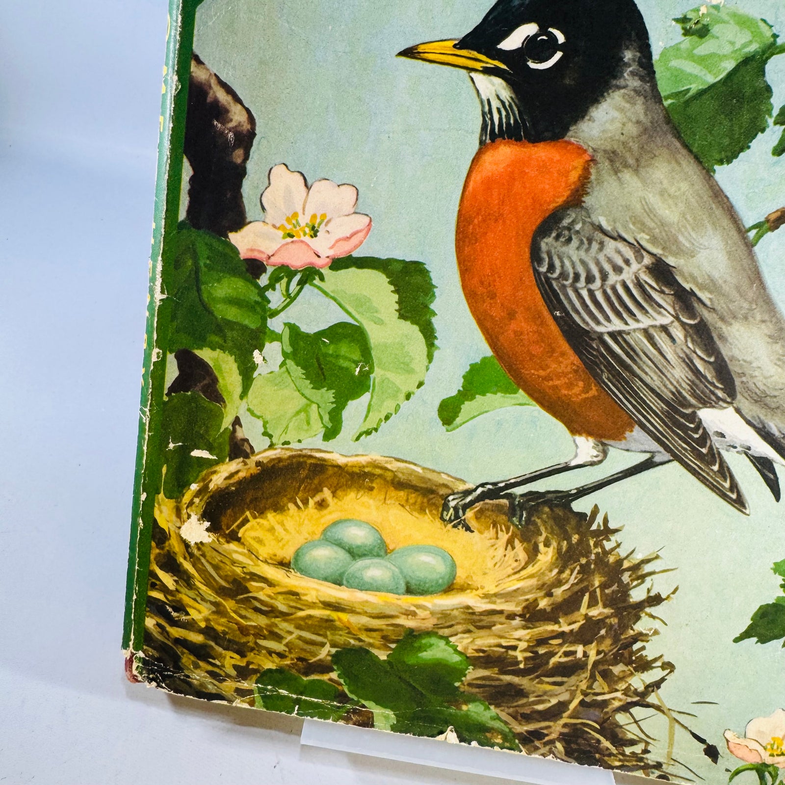 Vintage Birds at Home Book 1942 Marguerite Henry Jacob Bates Abbott Illustrated Bird Book