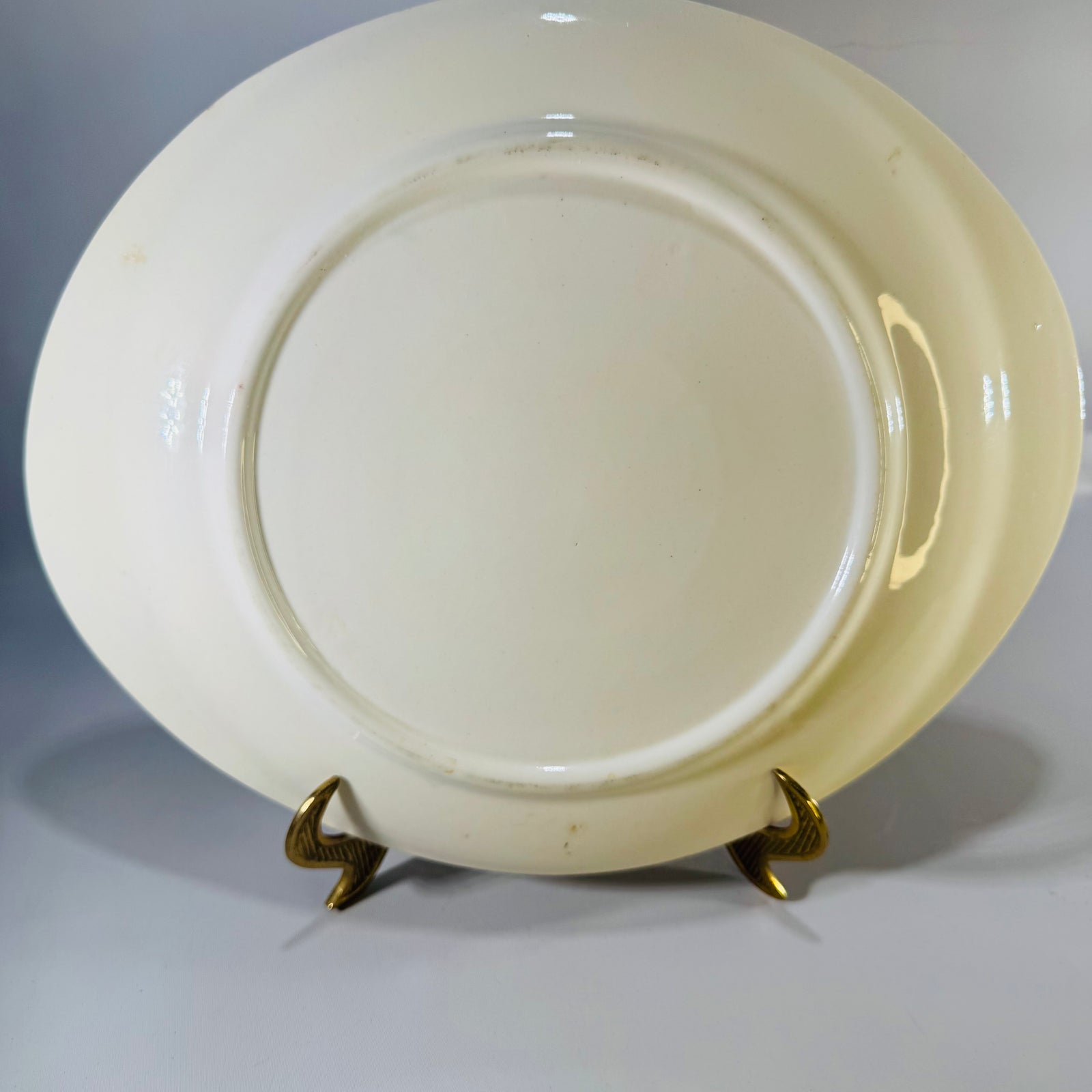 Blue Ridge Fantasia Oval Platter Vintage Hand Painted Southern Potteries Leaf Serving Dish