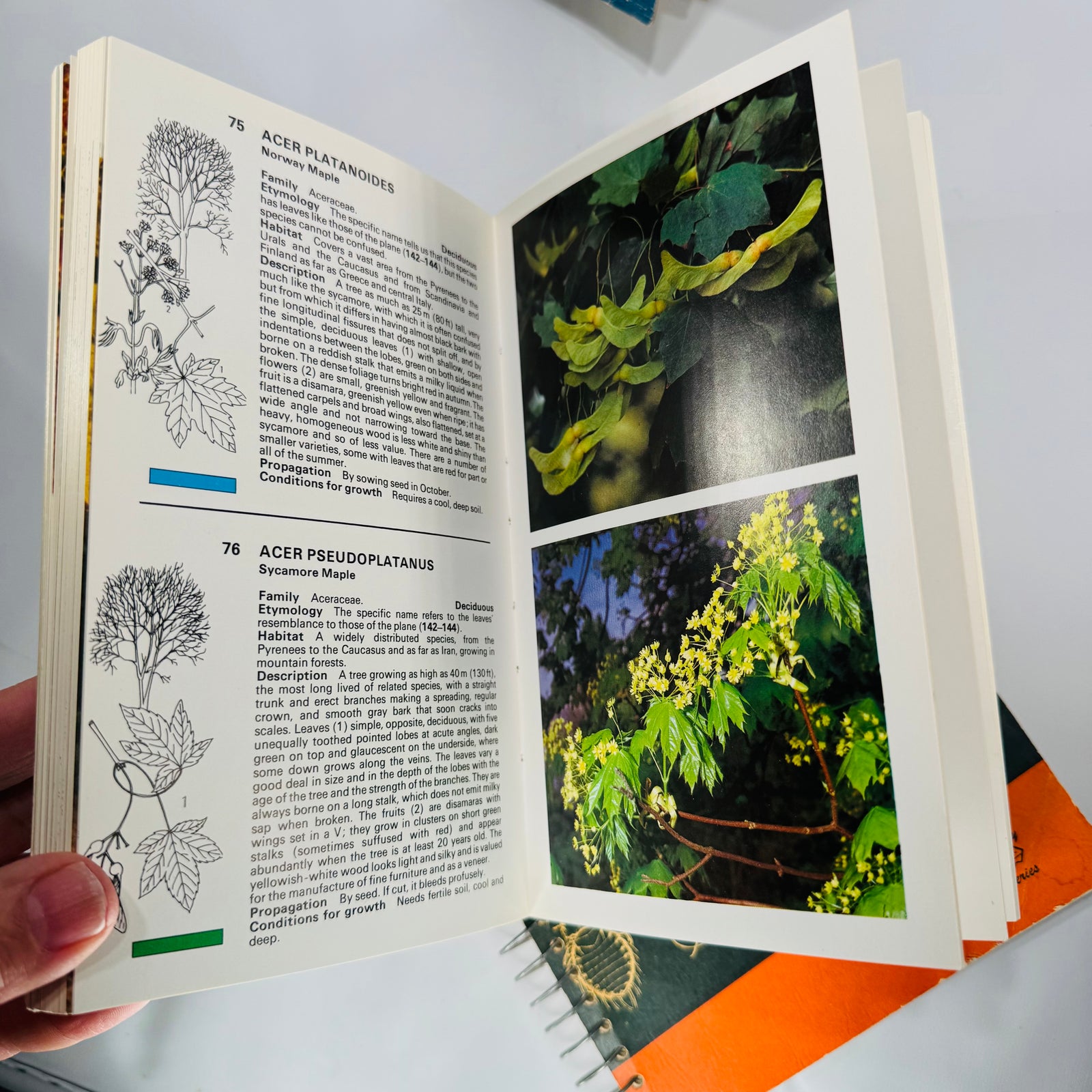 Mid-Century Natural History Field Guide Book Set (1950s–1970s) — Peterson, Simon & Schuster, Jaques | Illustrated Science Classics, Natural History