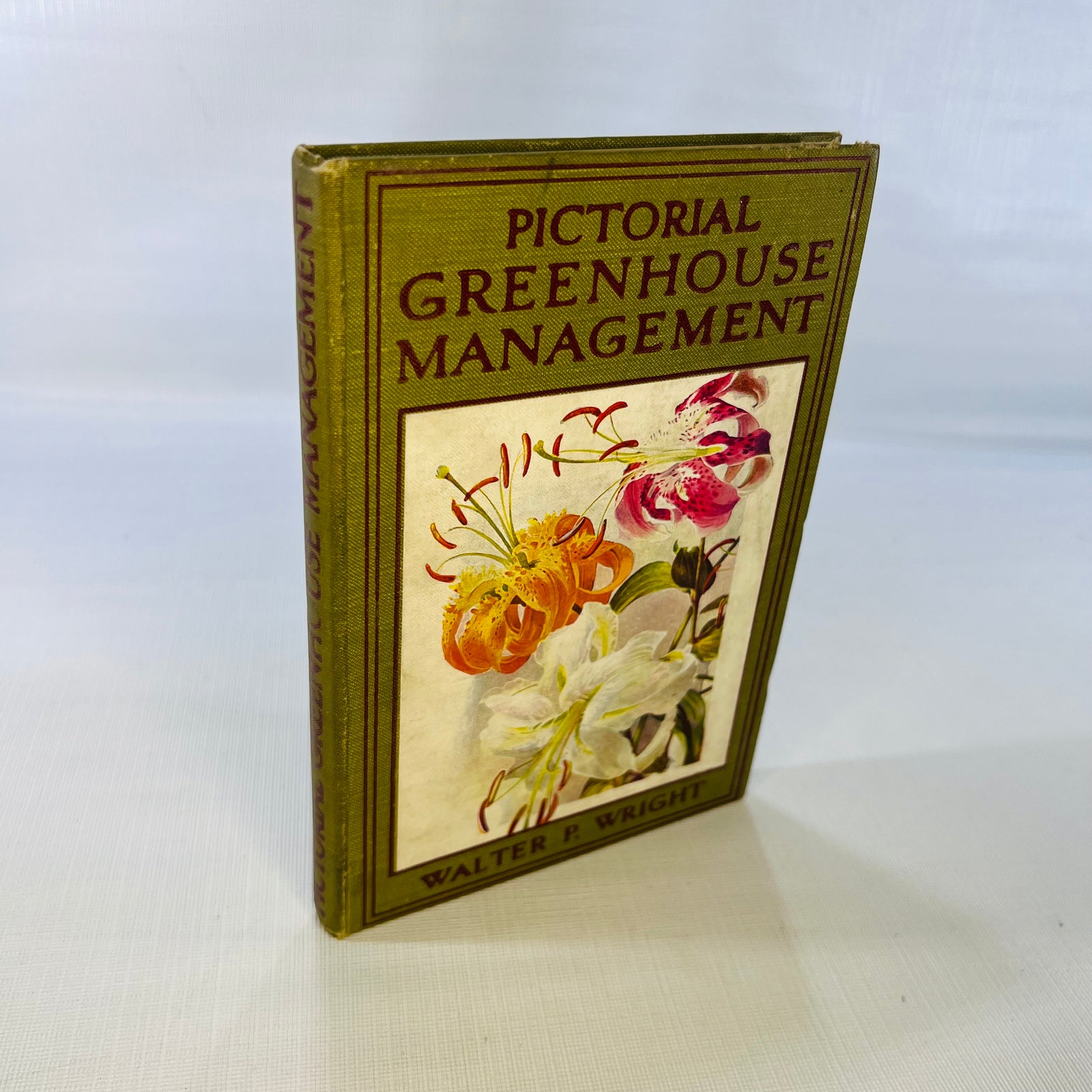 Pictorial Greenhouse Management by Walter P. Wright 1911 Cassell and Company Ltd.