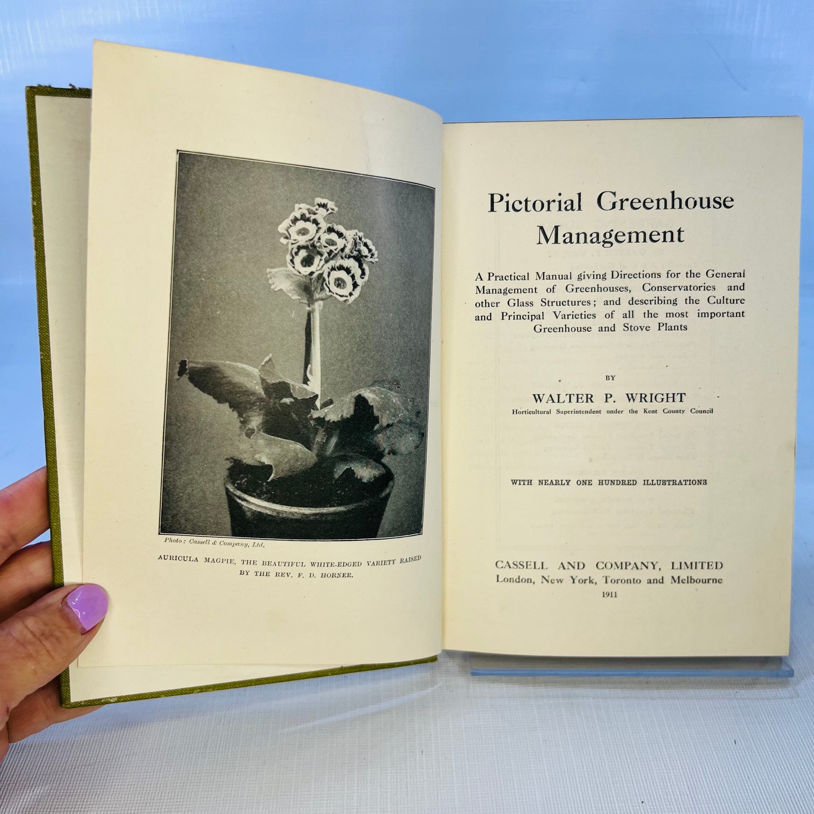 Pictorial Greenhouse Management by Walter P. Wright 1911 Cassell and Company Ltd.