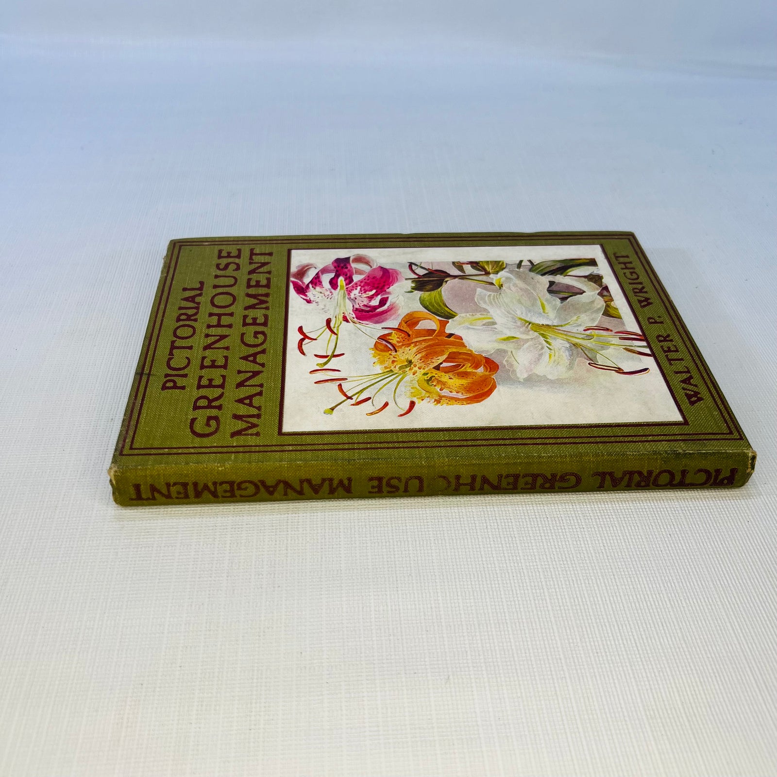 Pictorial Greenhouse Management by Walter P. Wright 1911 Cassell and Company Ltd.