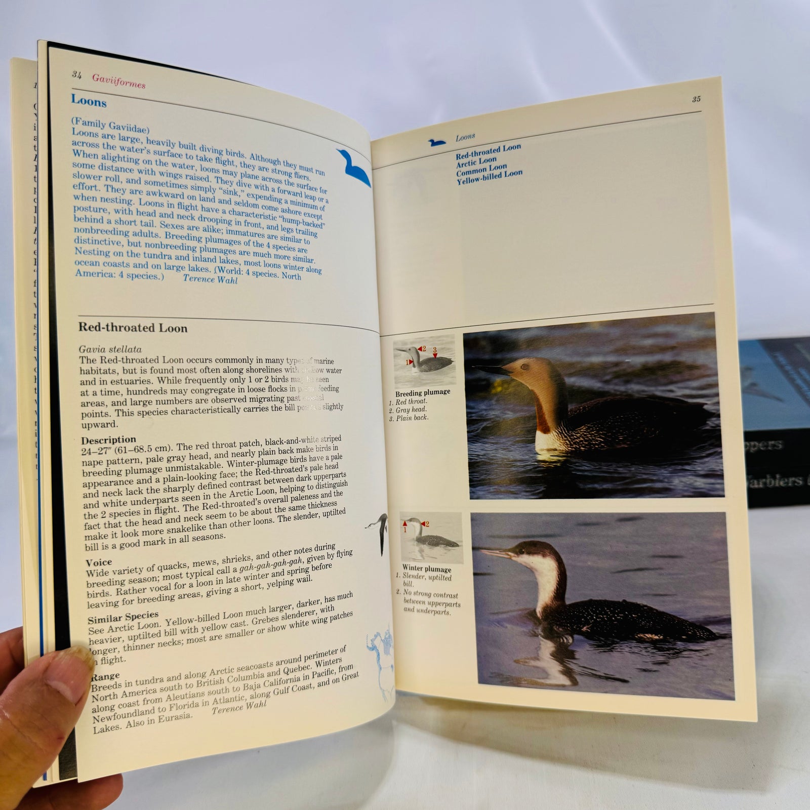 The Audubon Society Master Guide to Birding John Farrand 1983 by First Edition Three Volumes Loons to Sandpipers Gulls to Dippers Old-World Warblers-Sparrows