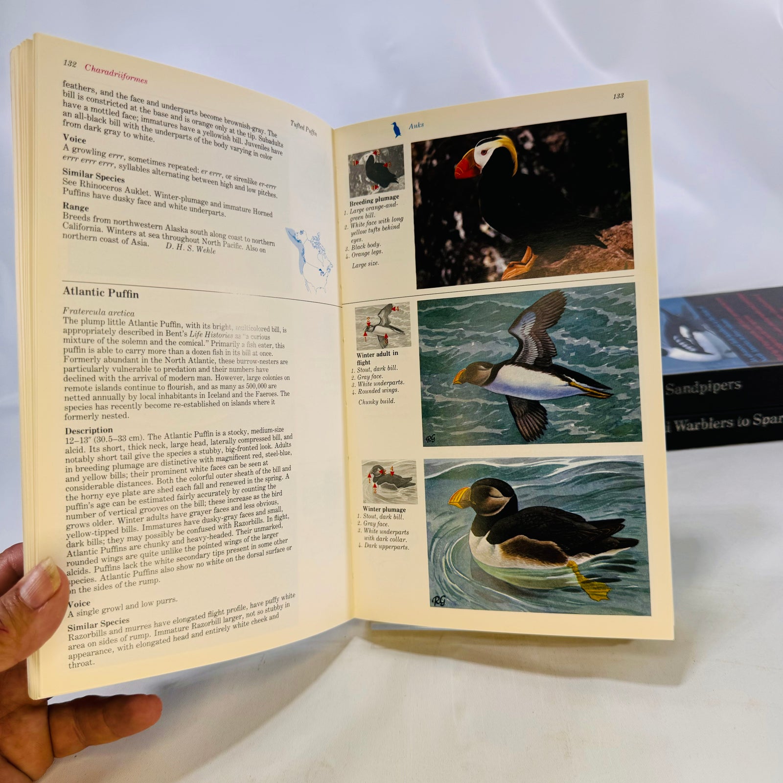 The Audubon Society Master Guide to Birding John Farrand 1983 by First Edition Three Volumes Loons to Sandpipers Gulls to Dippers Old-World Warblers-Sparrows
