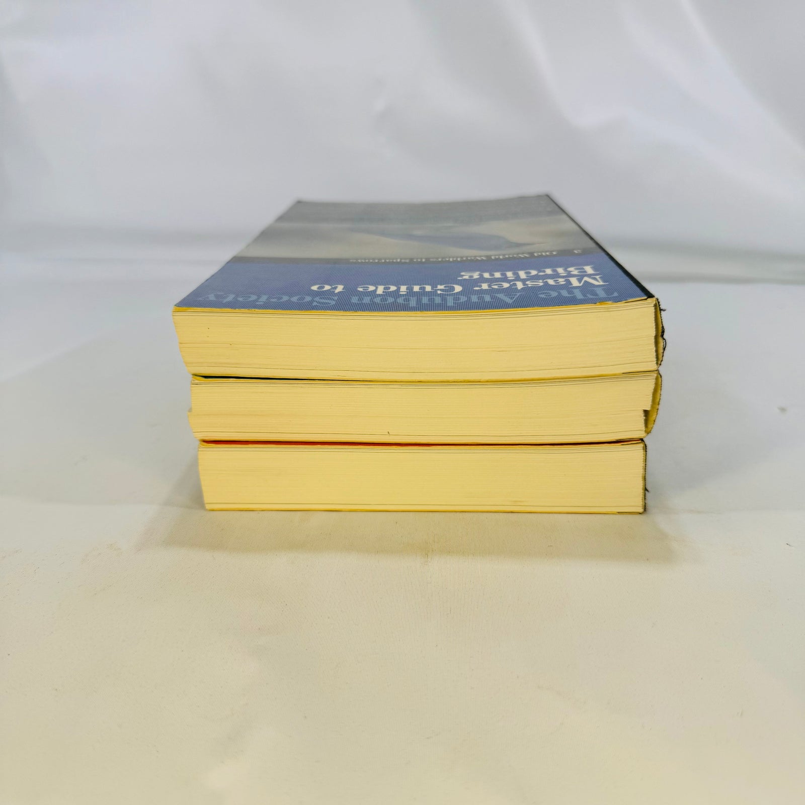The Audubon Society Master Guide to Birding John Farrand 1983 by First Edition Three Volumes Loons to Sandpipers Gulls to Dippers Old-World Warblers-Sparrows