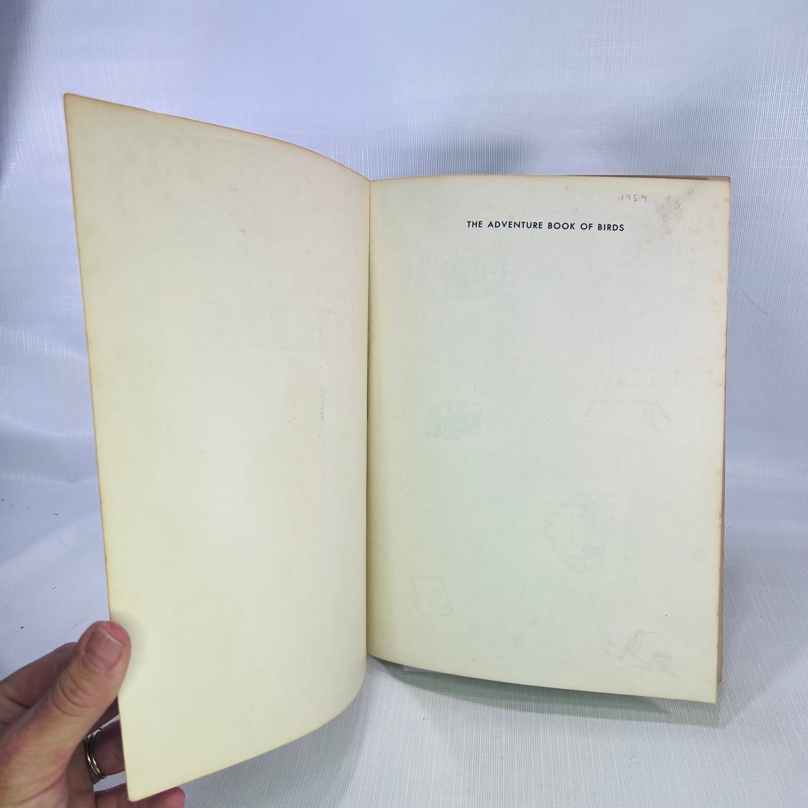 The Adventure Book of Birds by William A. Jerr illustrations by Charlotte Howard 1959 A Capitol Young Adventure Book