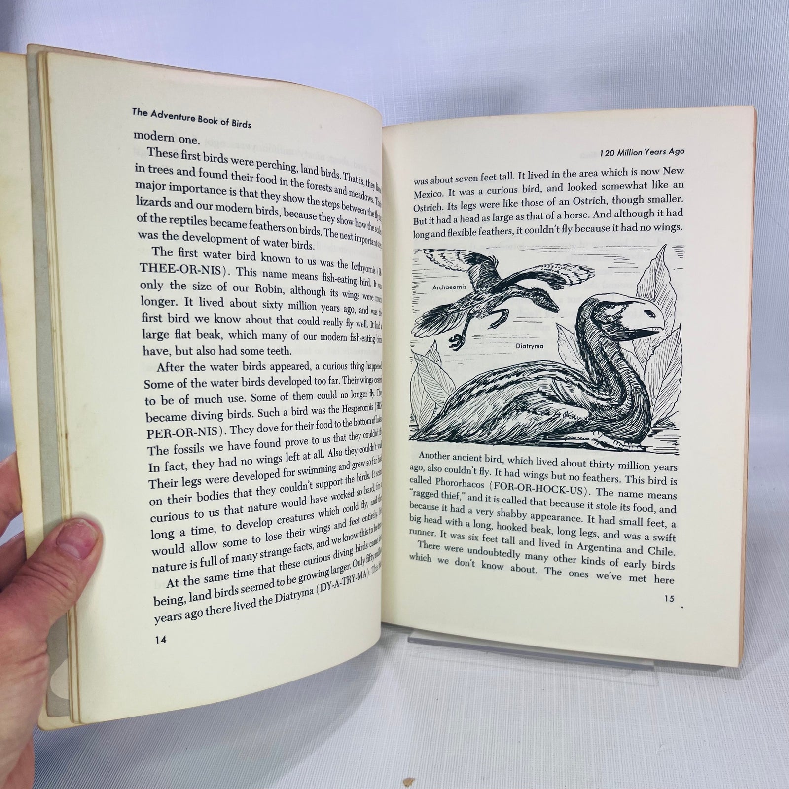 The Adventure Book of Birds by William A. Jerr illustrations by Charlotte Howard 1959 A Capitol Young Adventure Book