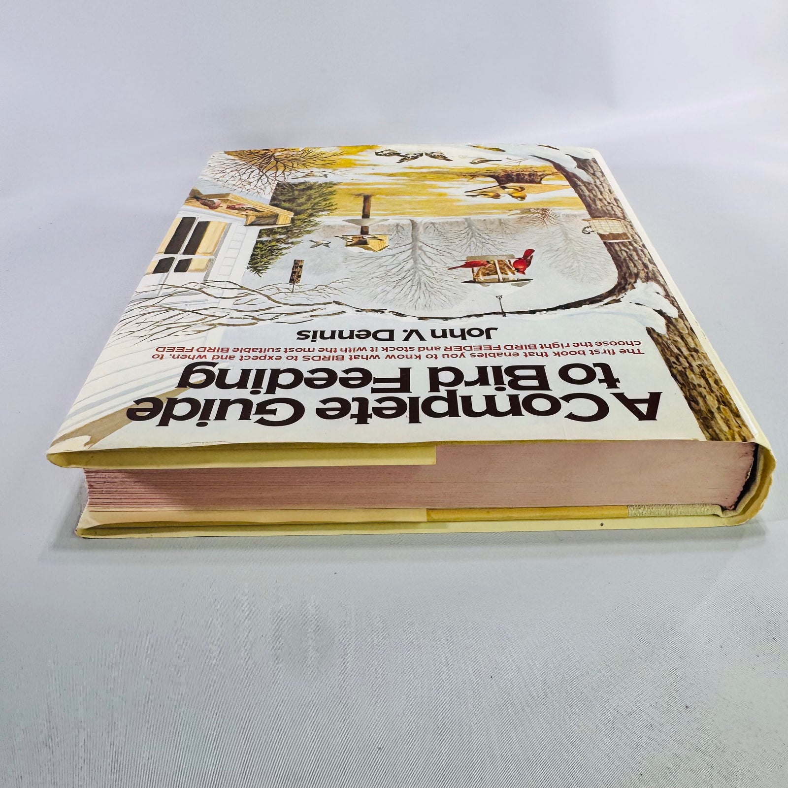 Vintage Bird Feeding Guide Hardcover by John V. Dennis 1986 Knopf Nature Book with Dust Jacket