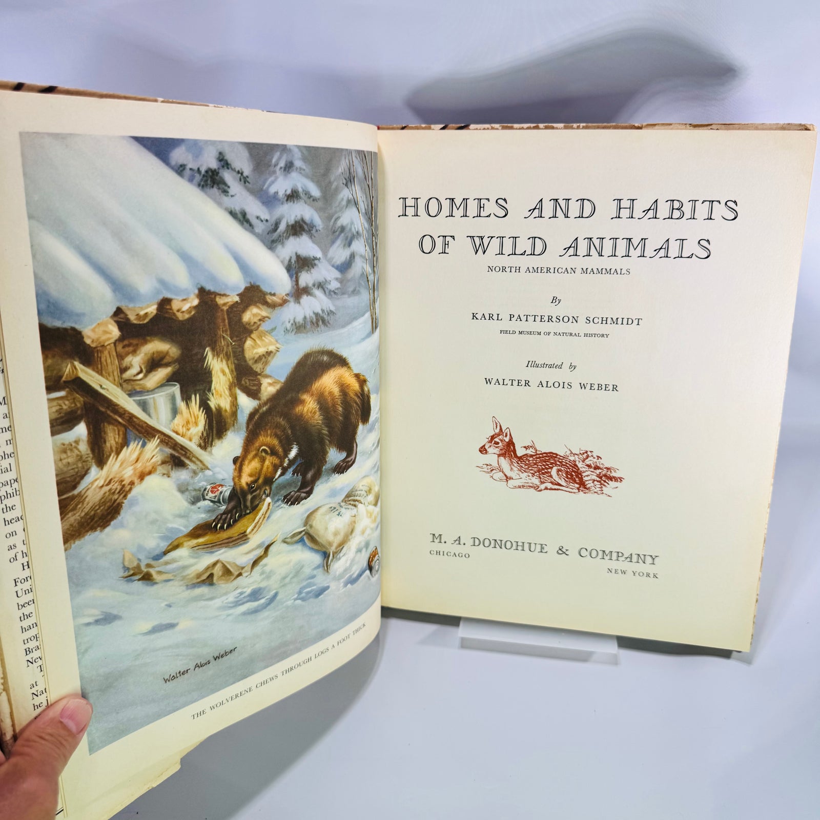 Homes and Habits of Wild Animals by Karl Patterson Schmidt 1934 Hardcover with Dust Jacket Walter Alois Weber Illustrations