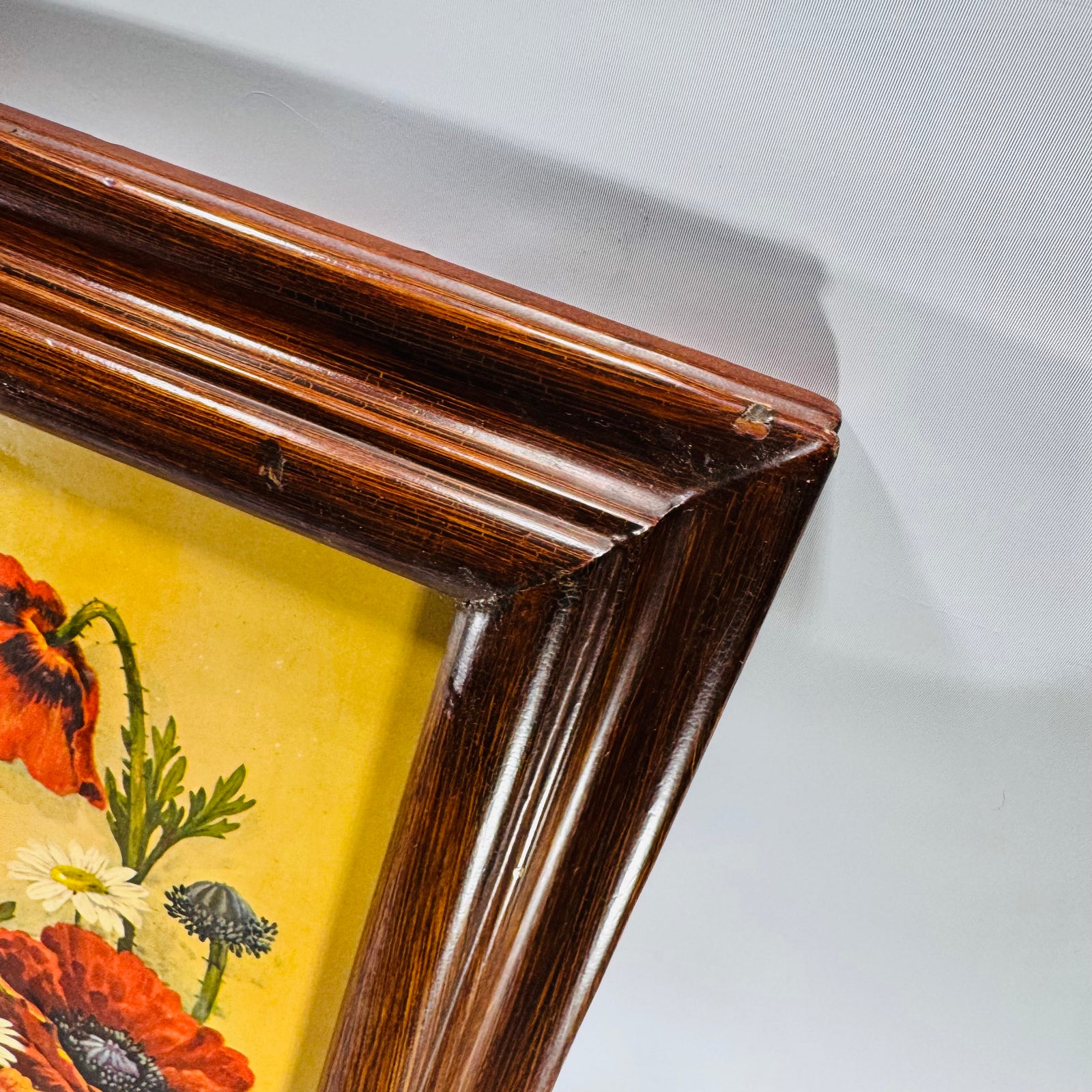 Vintage Framed Floral Print by ROBERT LAESSIG ANA— Poppies & Daisies (18x9)