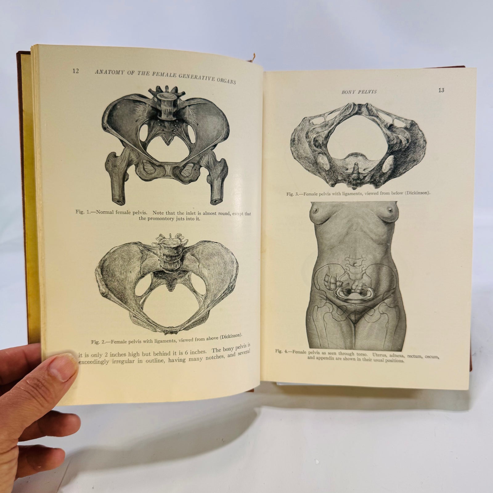 Obstetrics For Nurses by Joseph DeLee 1941 W.B. Saunders Hardcover