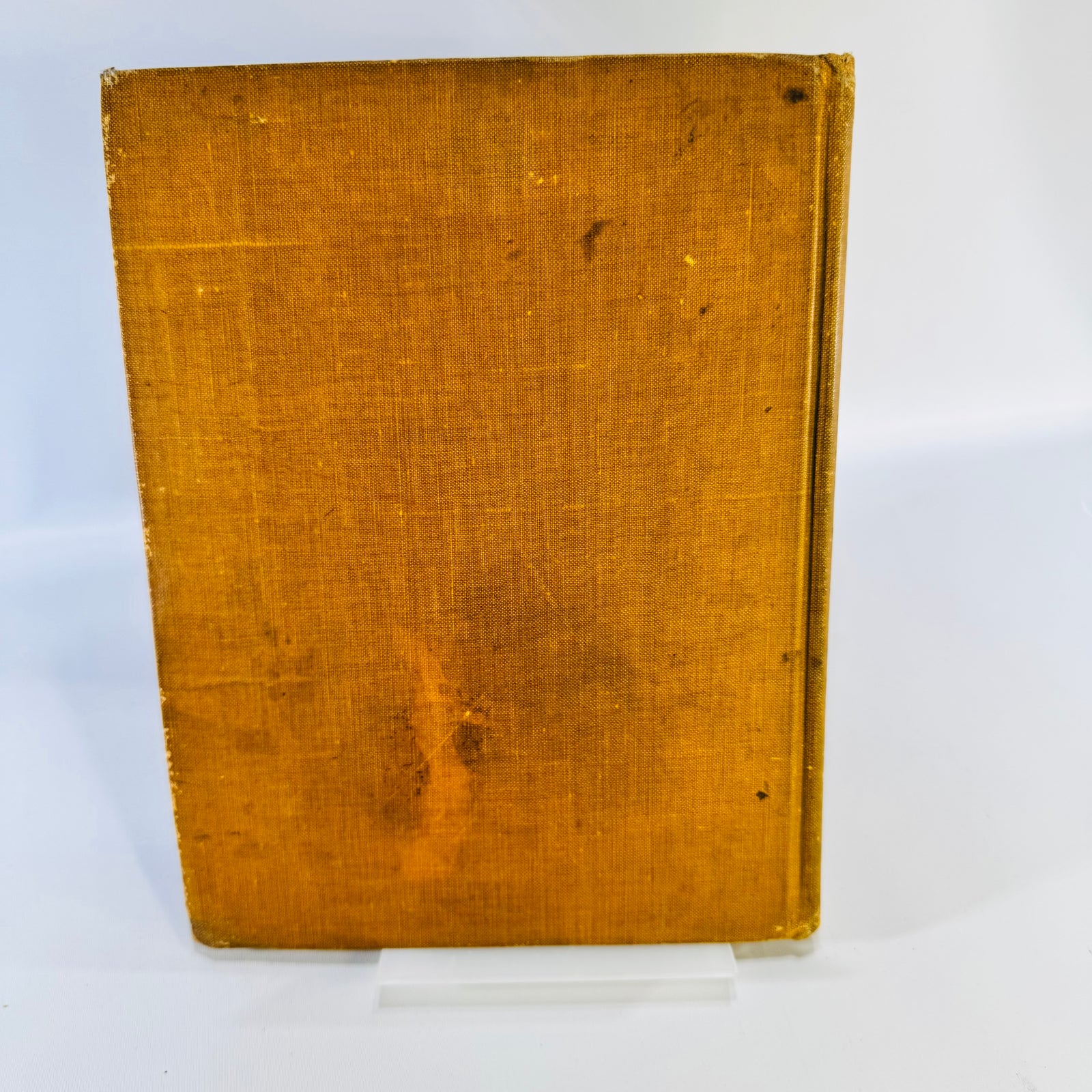 The Daughter of the Chieftain Edward S. Ellis Antique Hardcover McLoughlin Brothers Illustrated circa 1908 to 1910