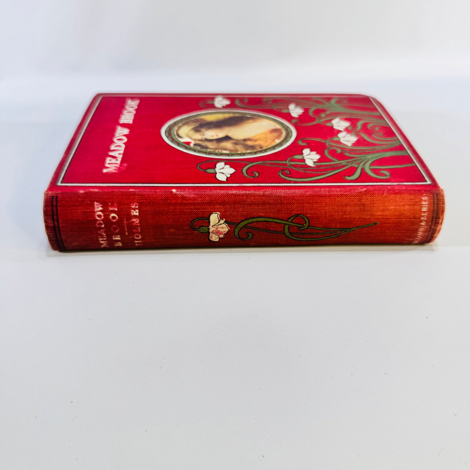 Vintage Meadow Brook by Mary Jane Holmes Decorative Red Hardcover W. B. Conkey 295 Pages Antique Novel