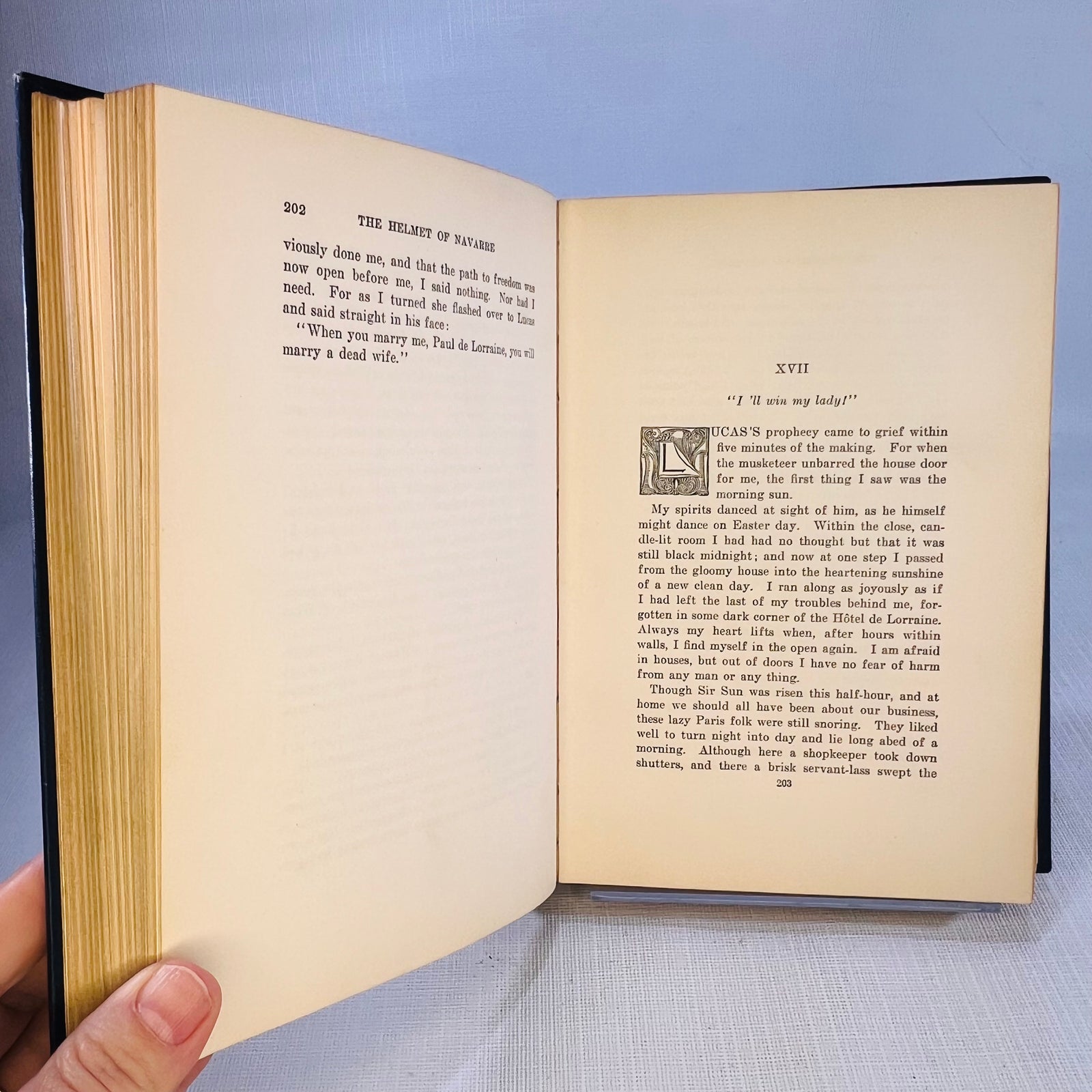 The Helmet of Navarre by Bertha Runkle illustrations by Andre Casaigne 1901 The Century Co.