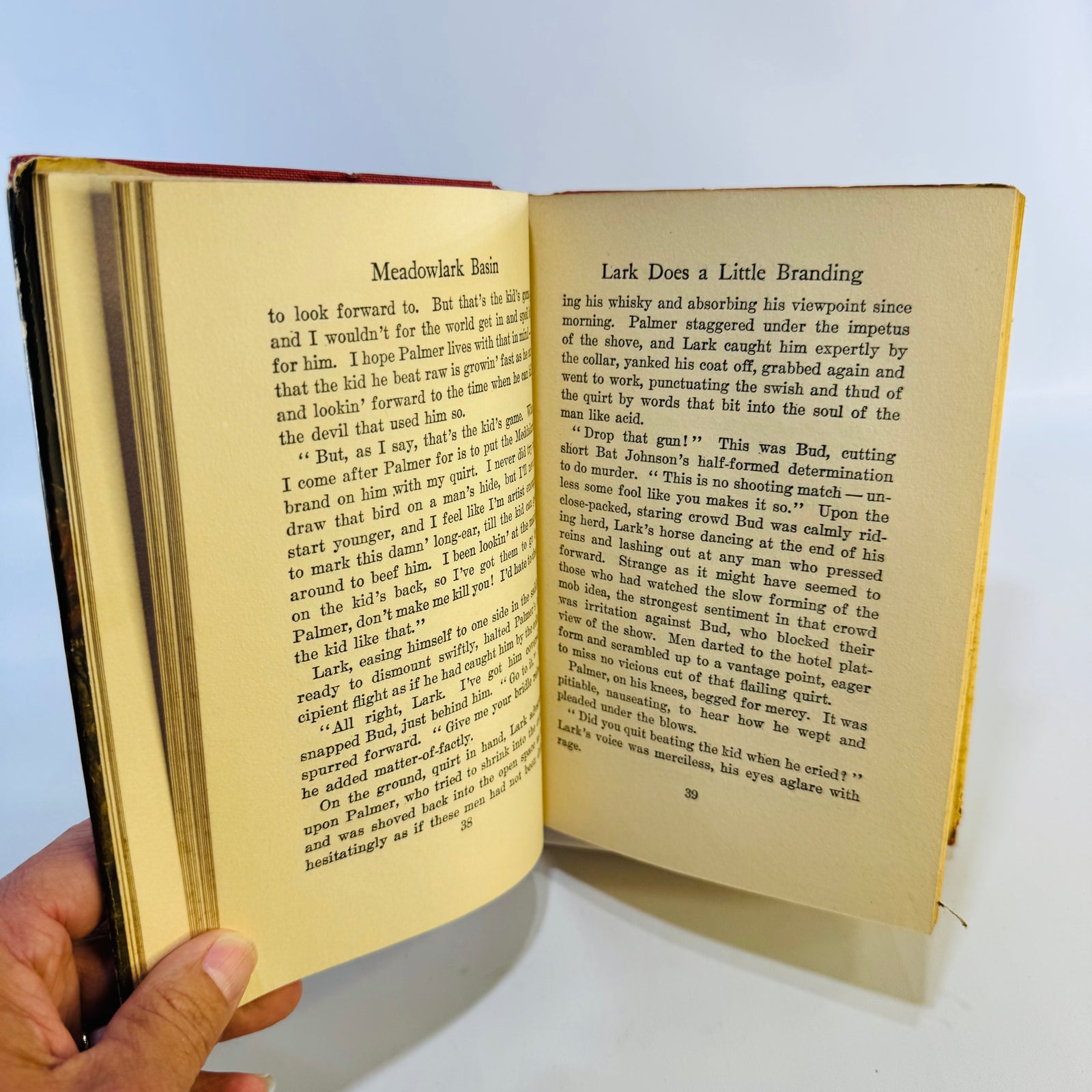 Meadowlark Basin by B. M. Bower 1925 Grosset & Dunlap Hardcover with Dust Jacket Vintage Western Novel