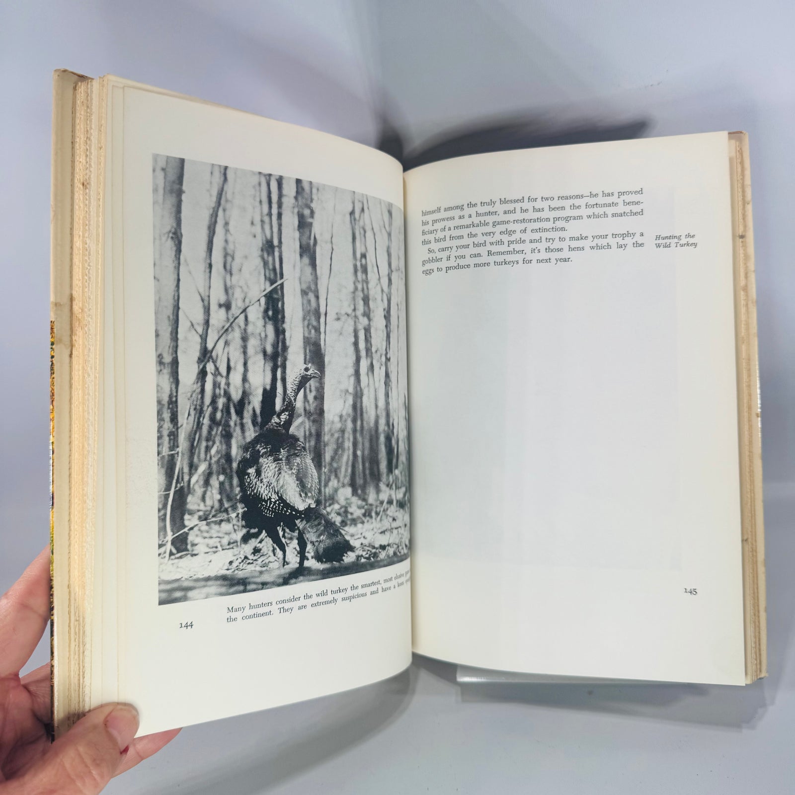Vintage Hunting & Outdoor Sports Hardcover — Hunting Secrets of the Experts* (1964, First Edition) — Edited by Vlad Evanoff | Illustrated, Dust Jacket