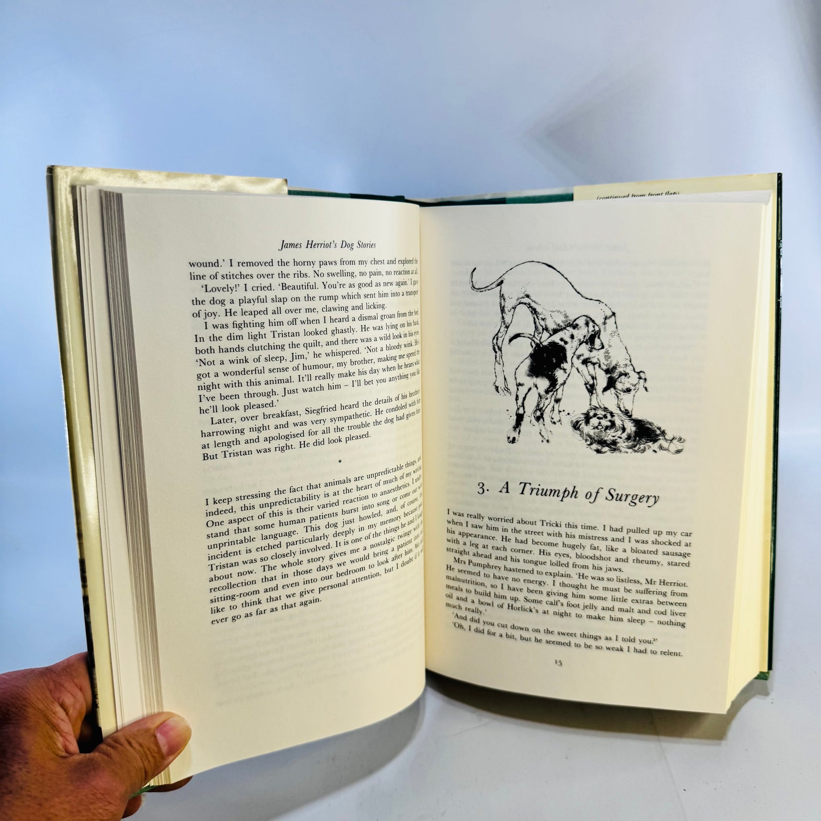 James Herriot's Dog Stories Hardcover with Dust Jacket 1992 Reader's Digest Illustrated Dog Memoirs