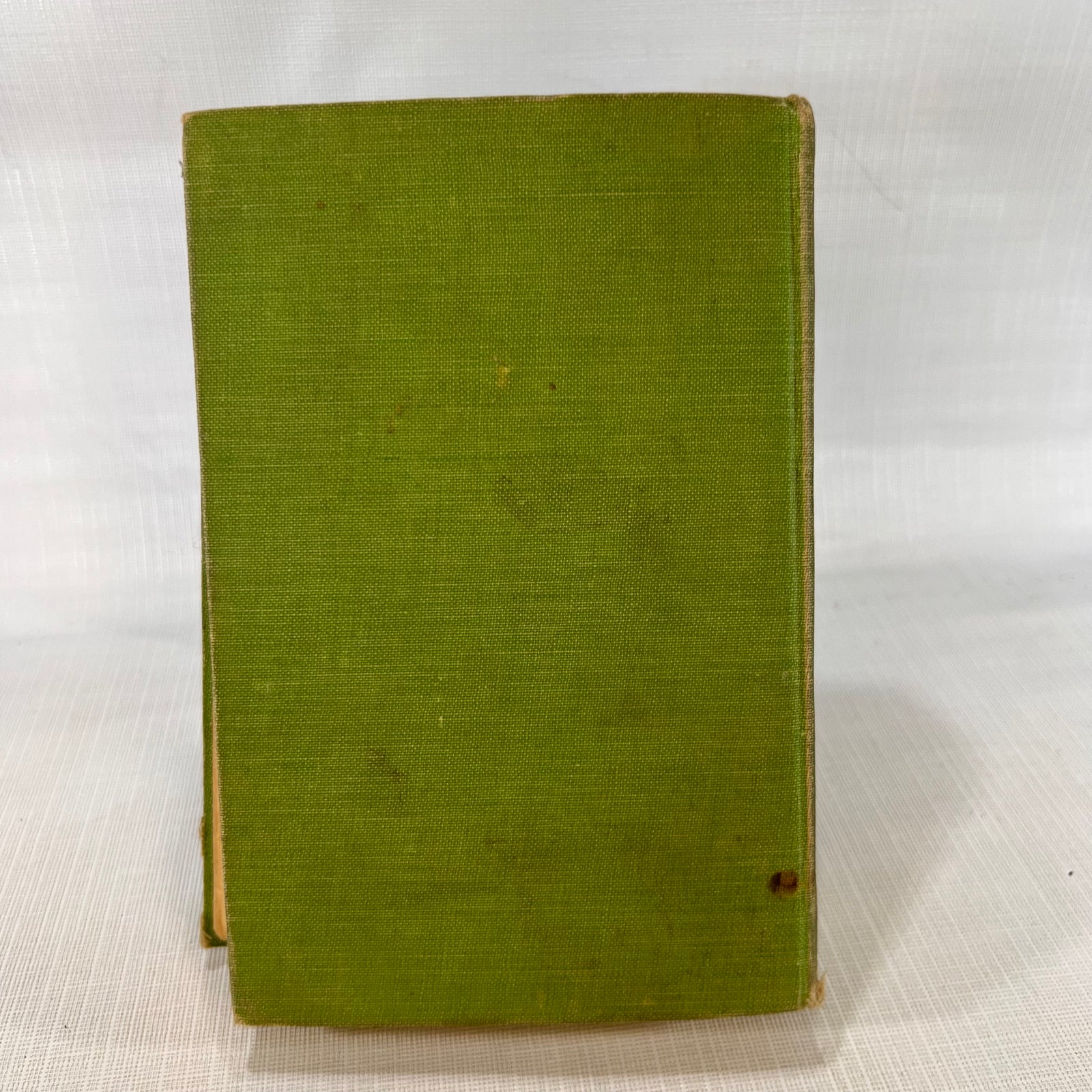 The Ranger Boys Outwit the Timber Thieves by Claude A. Labelle 1922 A.L. Burt Company