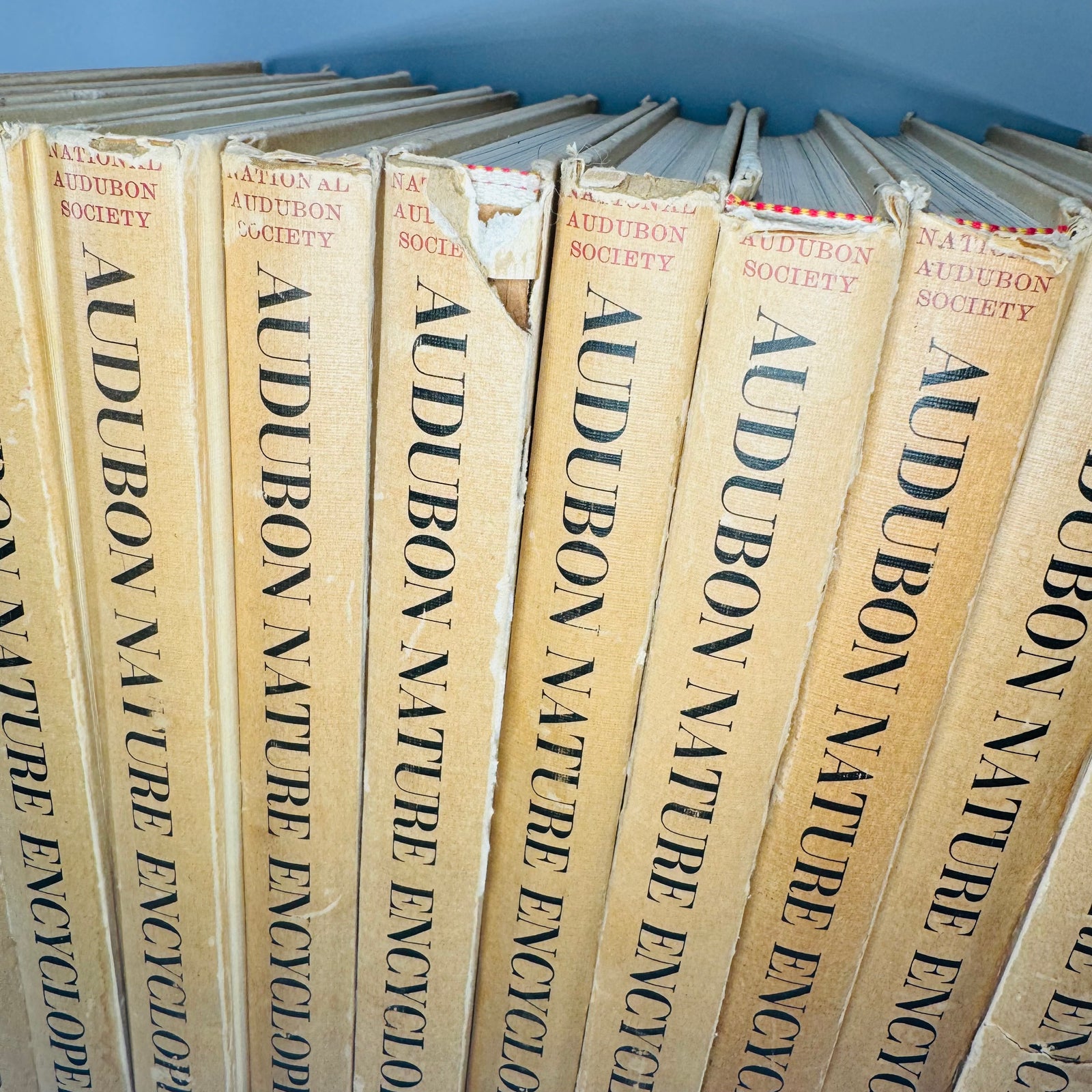 Vintage Natural History Reference (First Printing) — The Audubon Nature Encyclopedia 12-Volume Set (1964–1965) — National Audubon Society | Illustrated Wildlife + Ecology, Natural History / Wildlife Reference