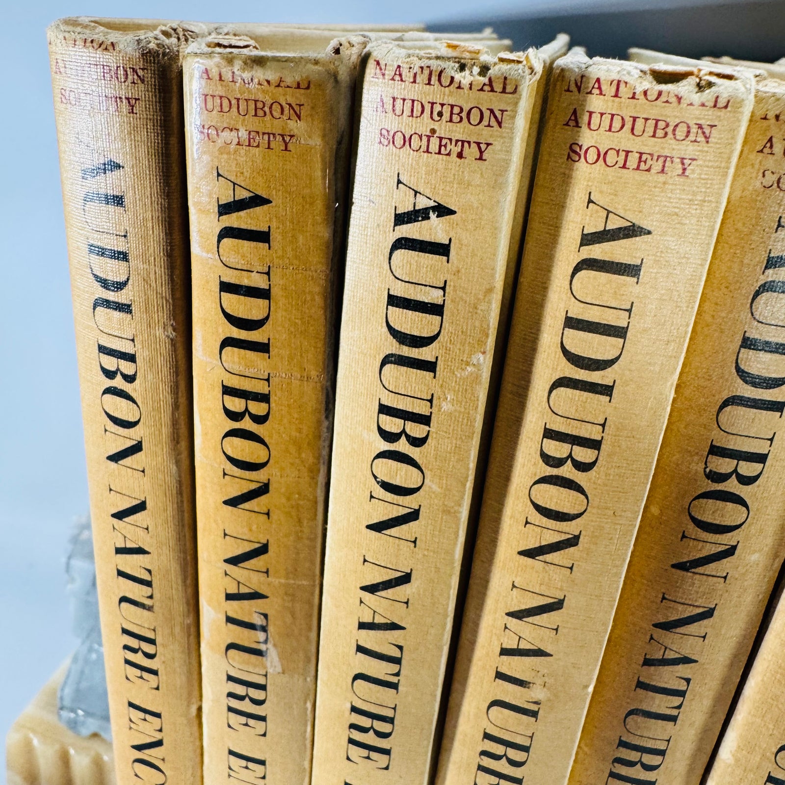 Vintage Natural History Reference (First Printing) — The Audubon Nature Encyclopedia 12-Volume Set (1964–1965) — National Audubon Society | Illustrated Wildlife + Ecology, Natural History / Wildlife Reference