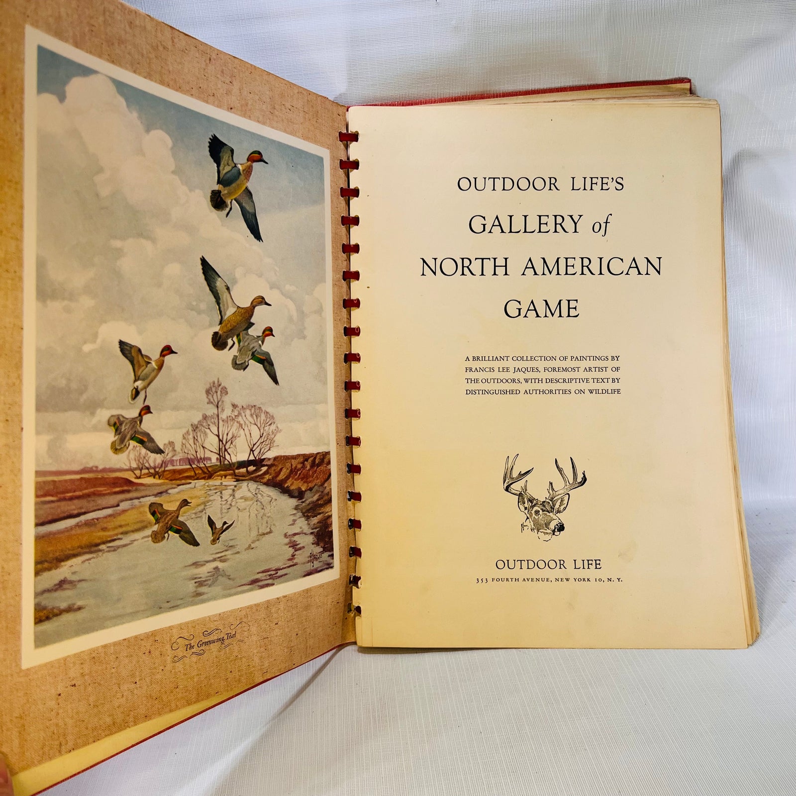 Outdoor Life Gallery of North American A Brilliant Collection Of Paintings by Francis Lee Jaques Popular Science Publishing Co. 1946
