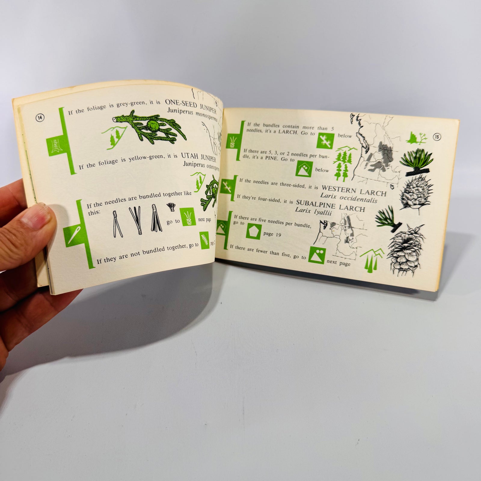 Rocky Mountain Tree Finder by Tom Watts (Pocket Field Guide, Vintage 6x4, 59 Pages, Almost New Condition)