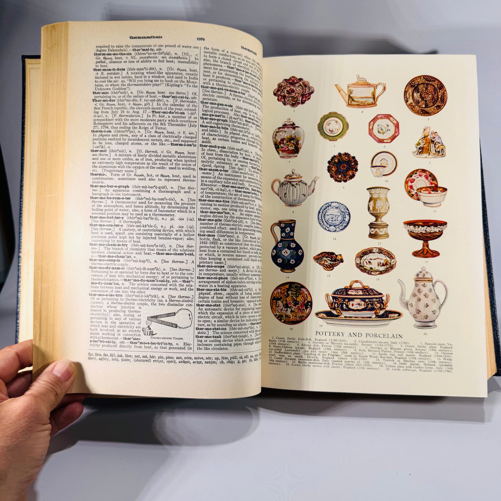 The New Century Dictionary: Volume Three (1934) | Stone-Blind to Zymurgy & Supplements | Illustrated Language Reference