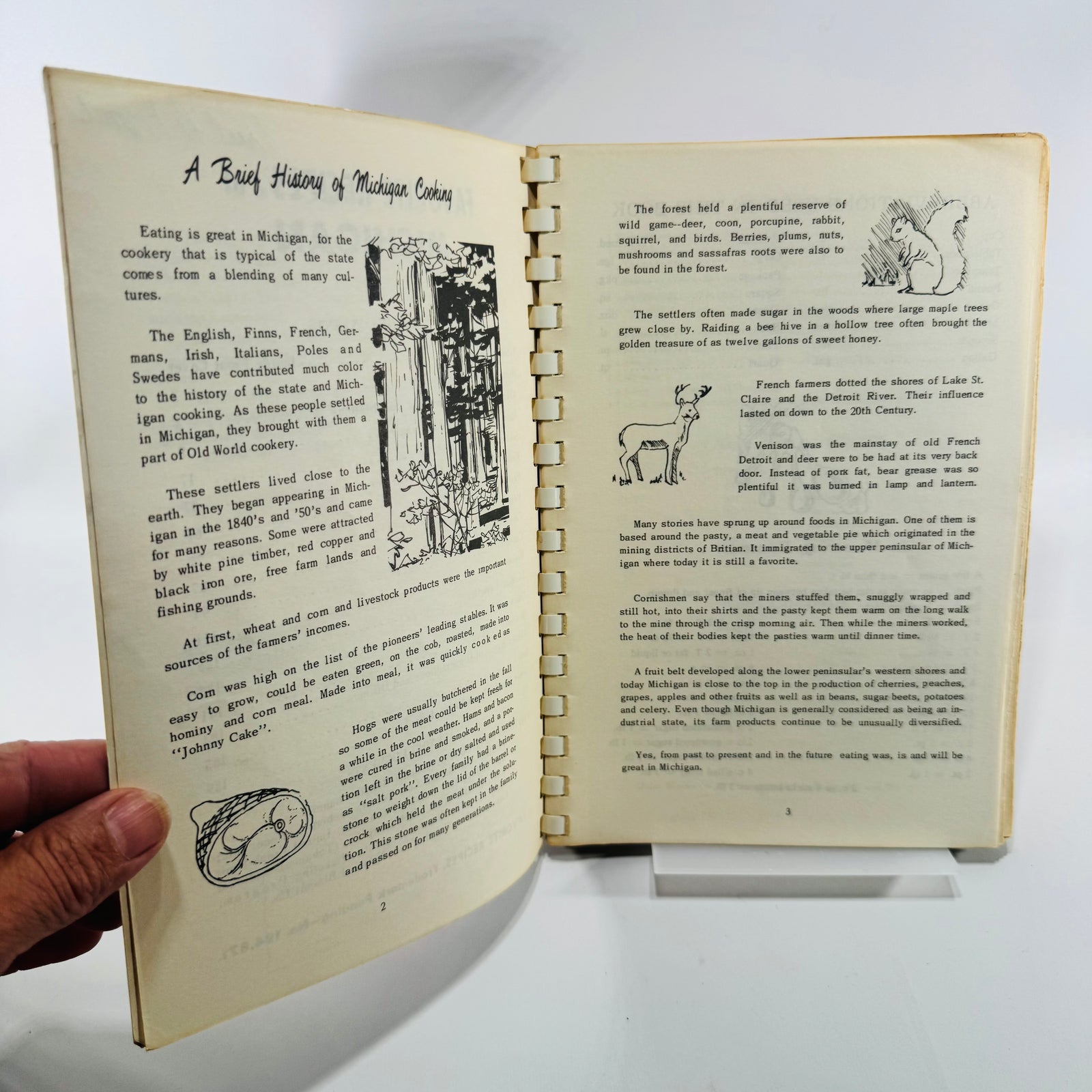 Favorite Recipes of Michigan 1964 Women's Club Cookbook 900 Recipes Comb Bound