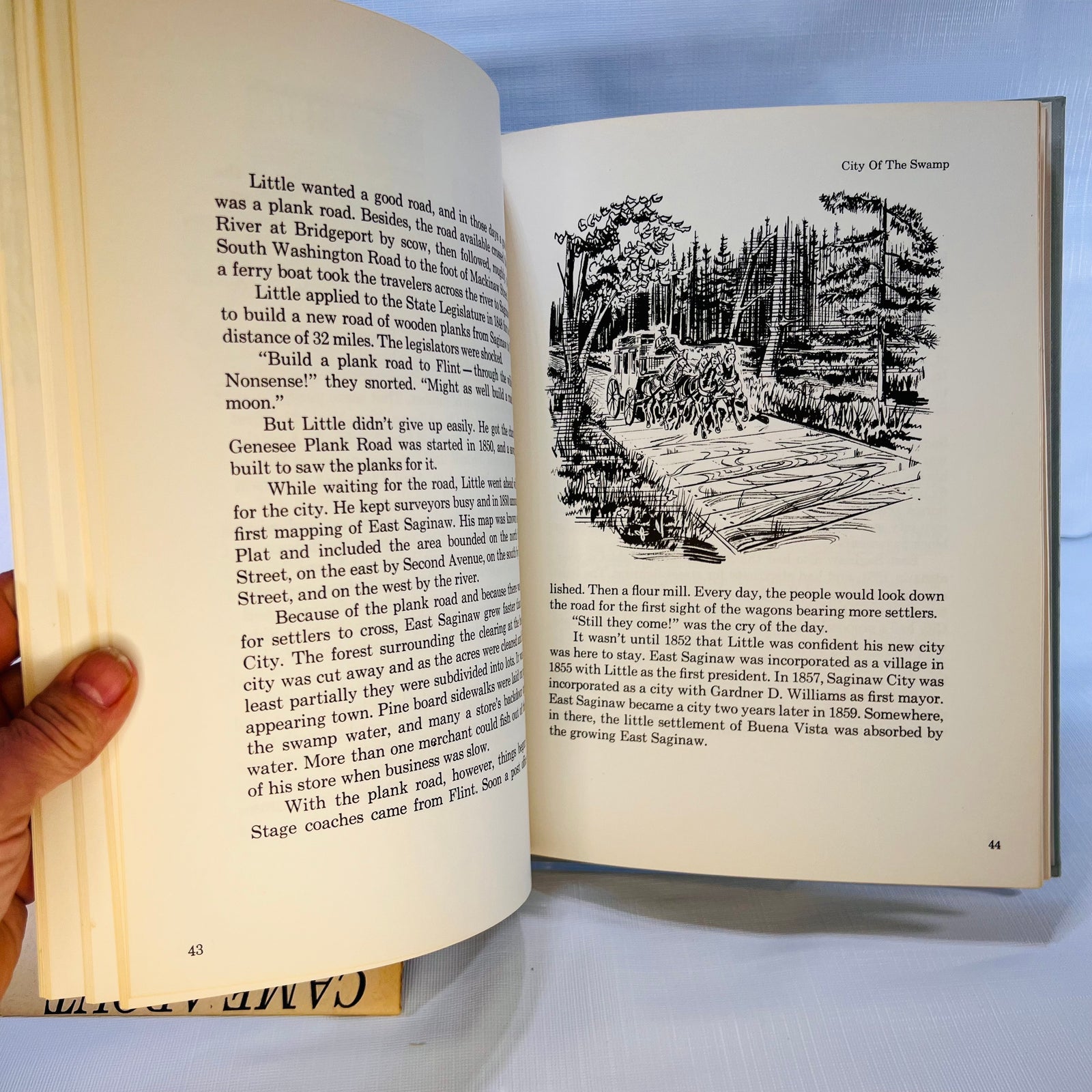 Indians 'Jacks and Pines A History of Saginaw by Stuart D. Gross Illustrated by Ralph A. Misiak 1962