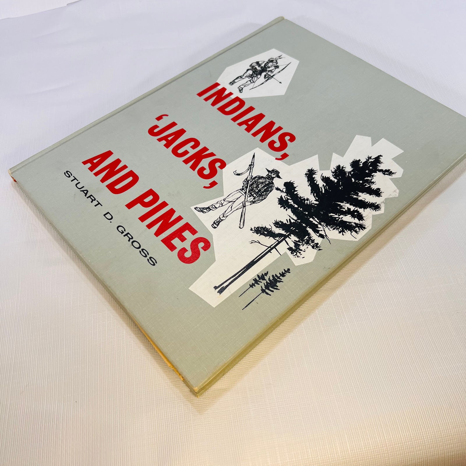 Indians 'Jacks and Pines A History of Saginaw by Stuart D. Gross Illustrated by Ralph A. Misiak 1962