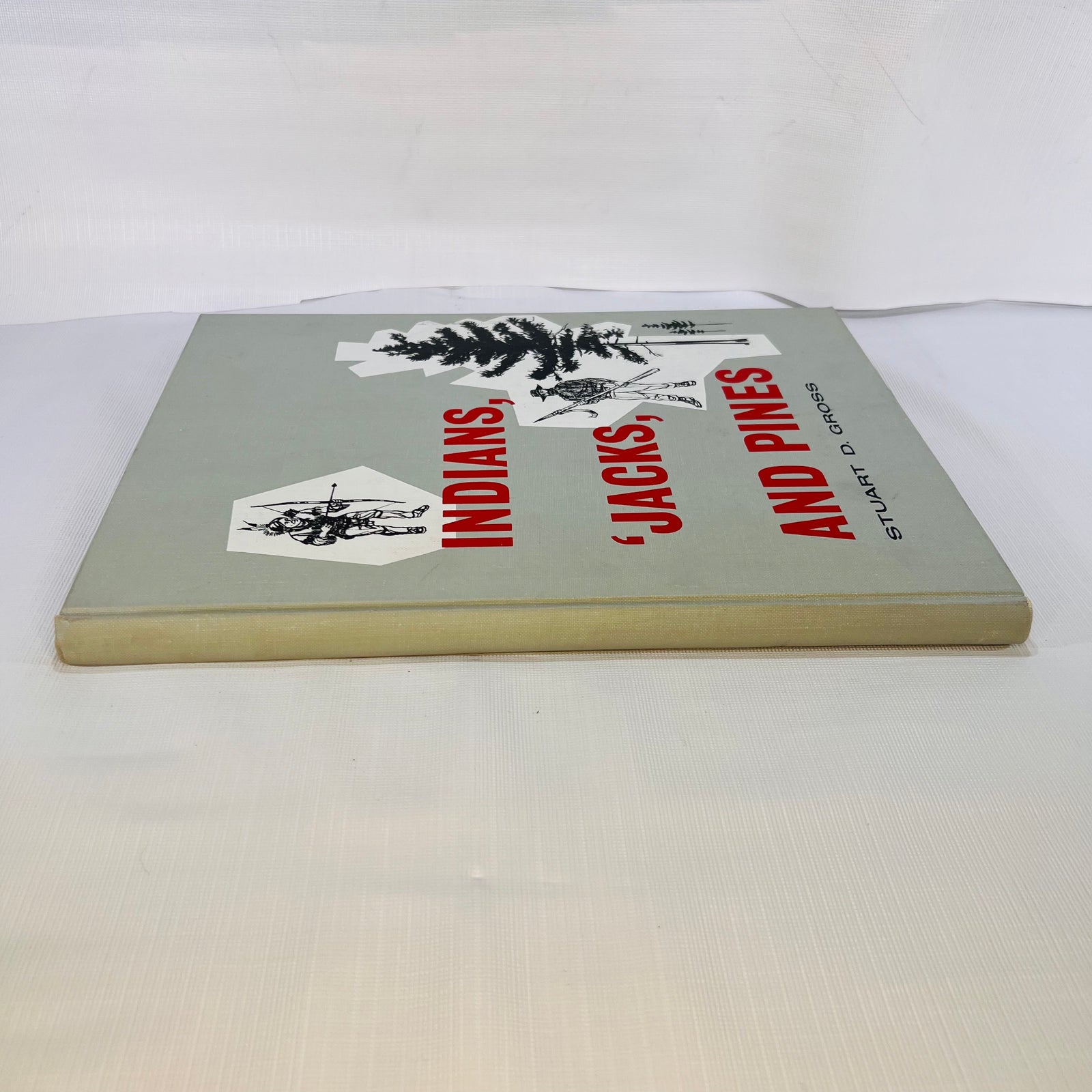 Indians 'Jacks and Pines A History of Saginaw by Stuart D. Gross Illustrated by Ralph A. Misiak 1962