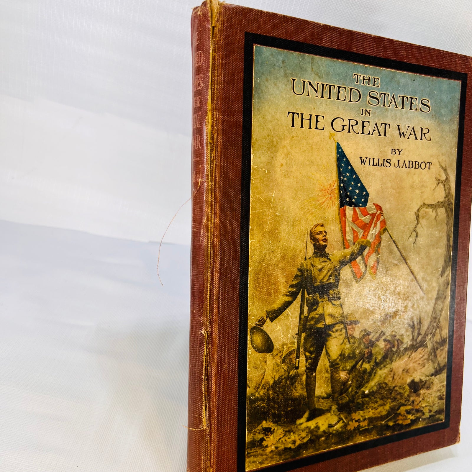The United States in the Green War by Willis J. Abbot 1919 Double Day Page and Company