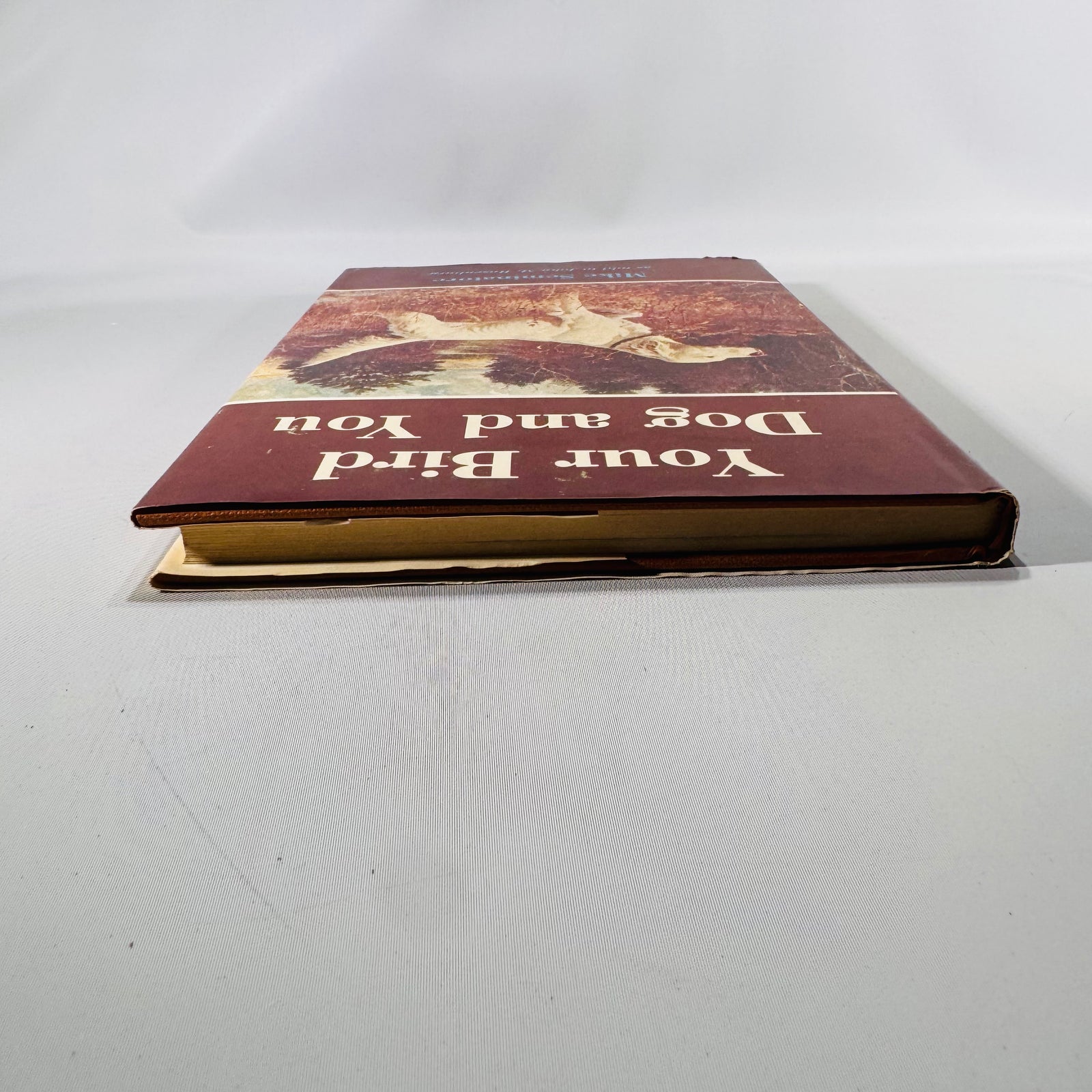 Your Bird Dog and You by Mike Seminatore (1977, Hardcover with Dust Jacket)