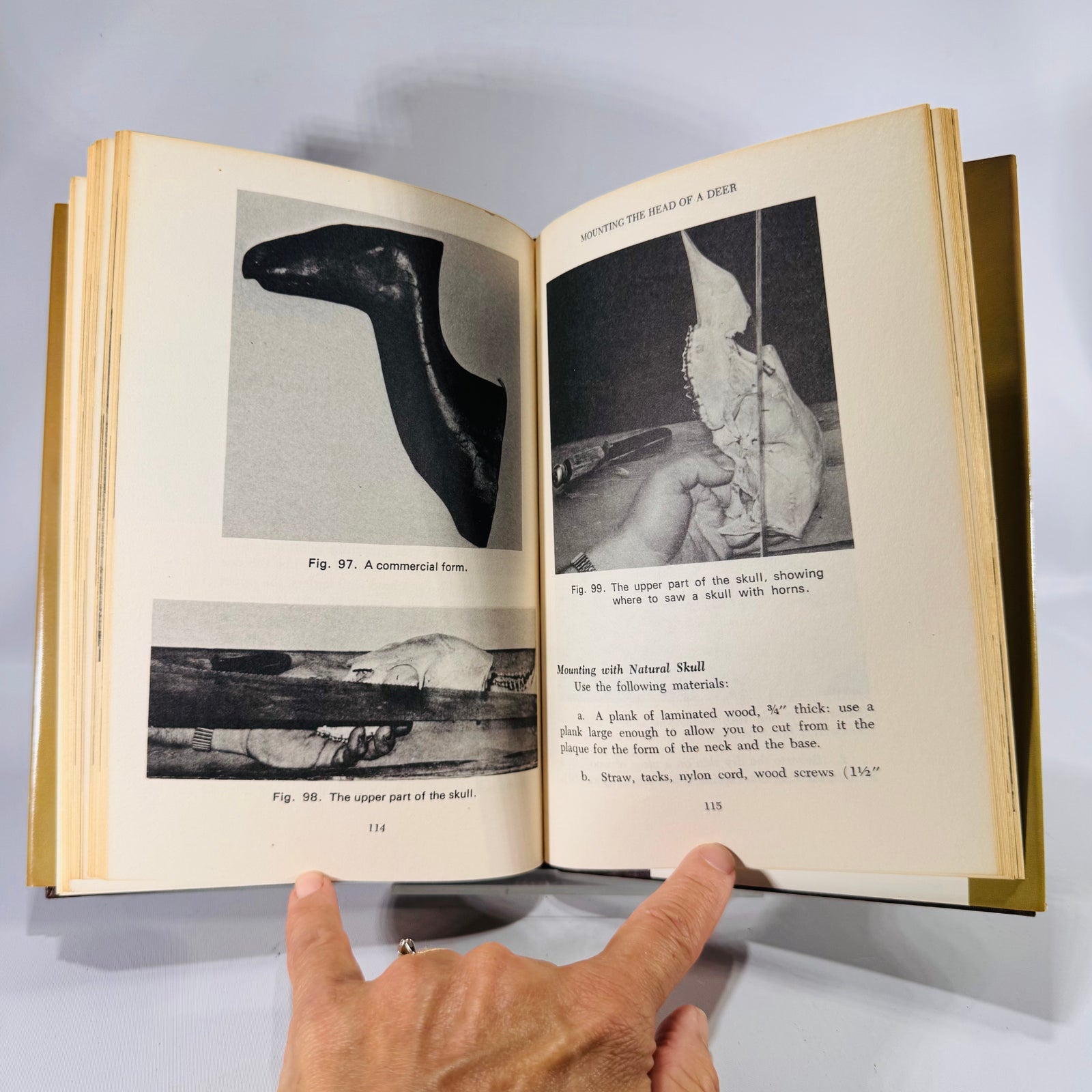 The Amateur Taxidermist by Jean Labrie (1972)
